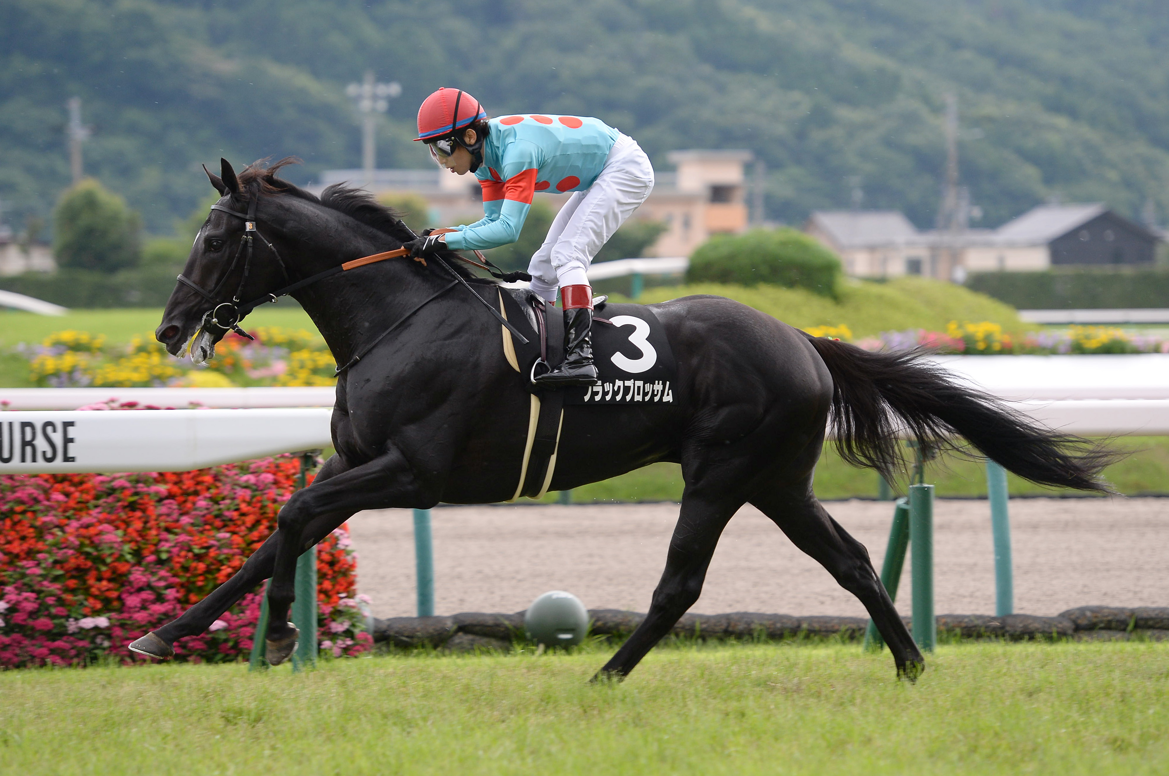 キタサンブラック 菊花賞 ジャージ キタサンブラック 菊花賞 ジャージ