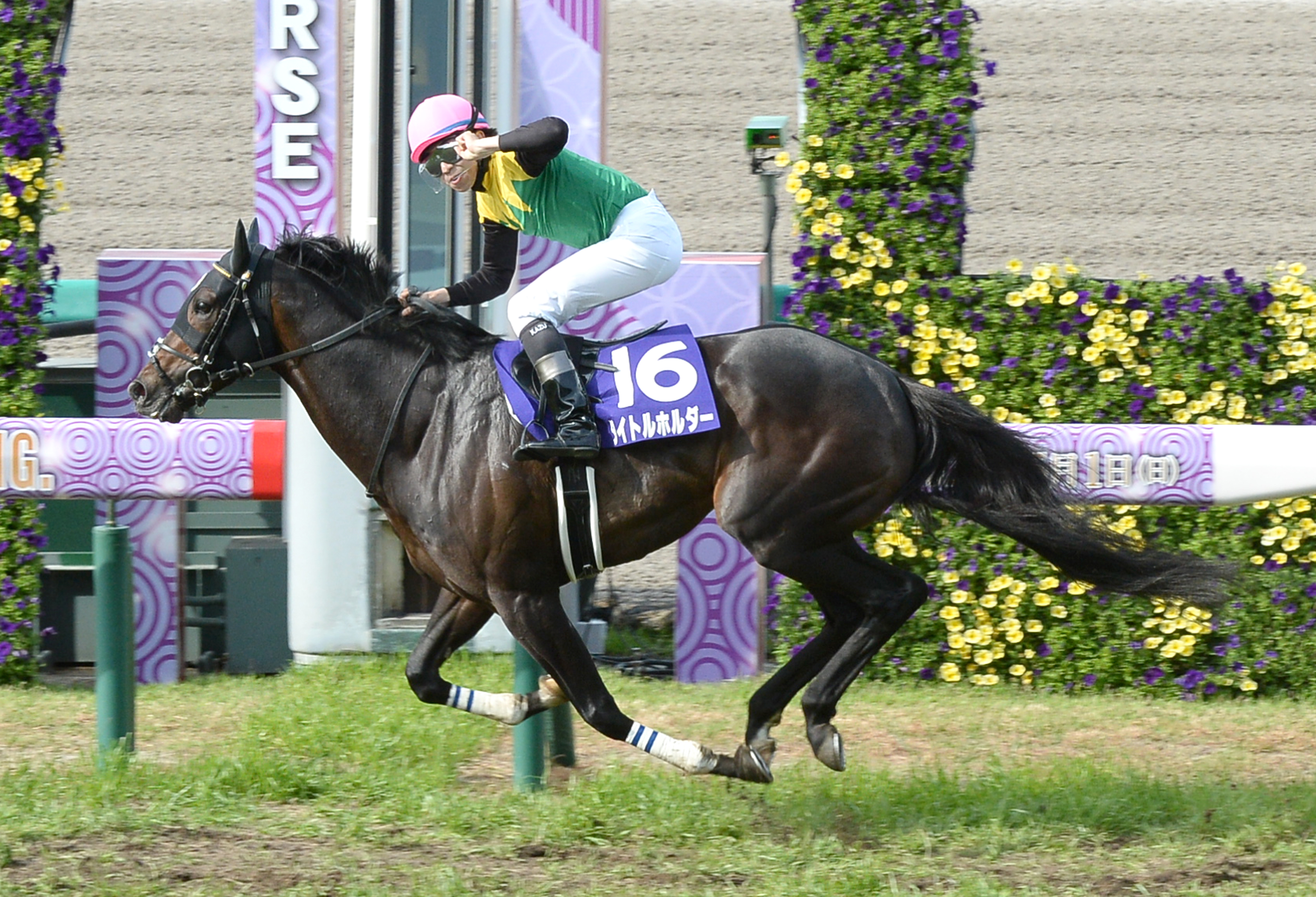 天皇賞・春】菊花賞馬強し！タイトルホルダーが７馬身差逃げ切りで春の