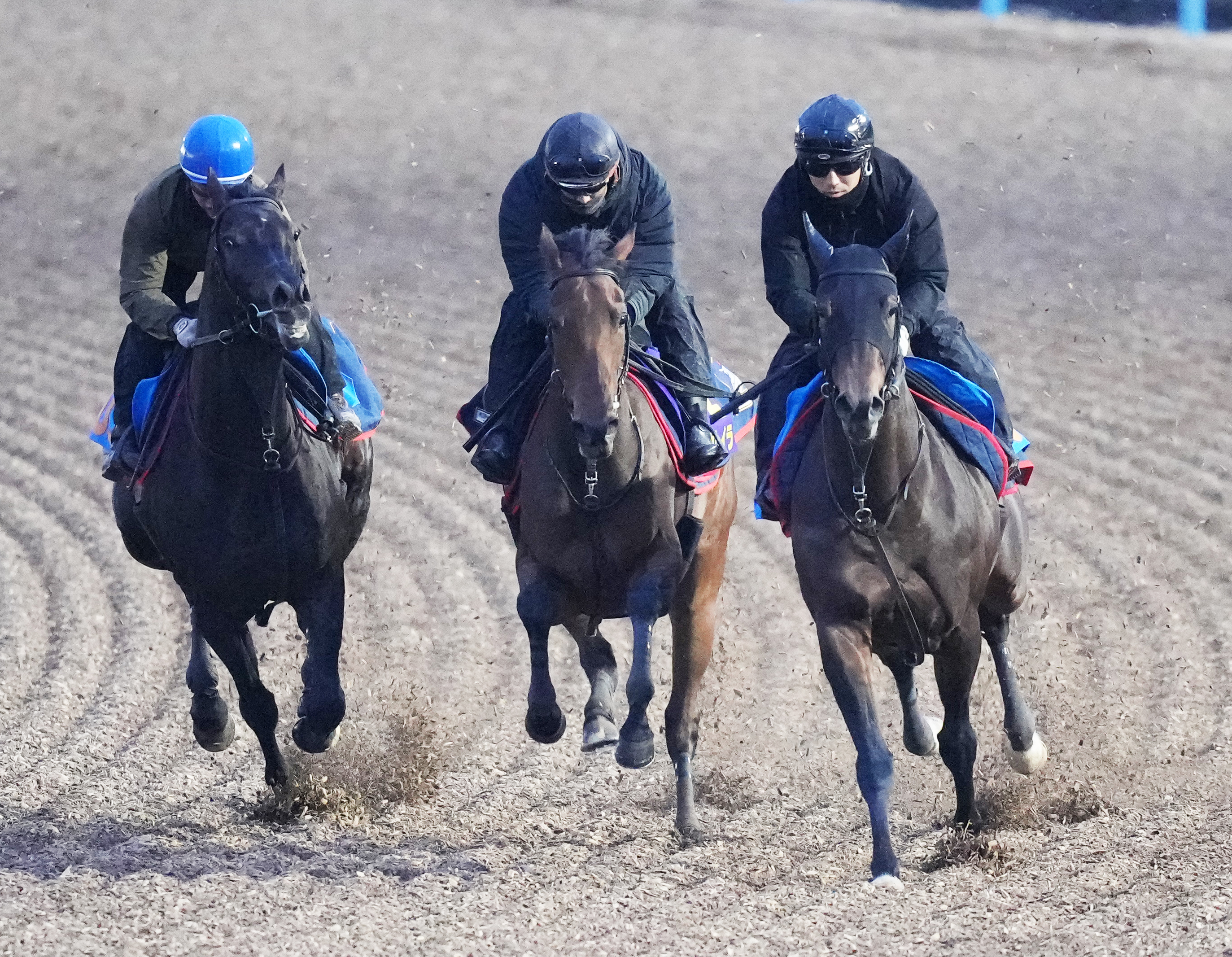 有馬記念 追い切り】レガレイラ鋭伸ラスト11秒2 木村哲調教師「応援し