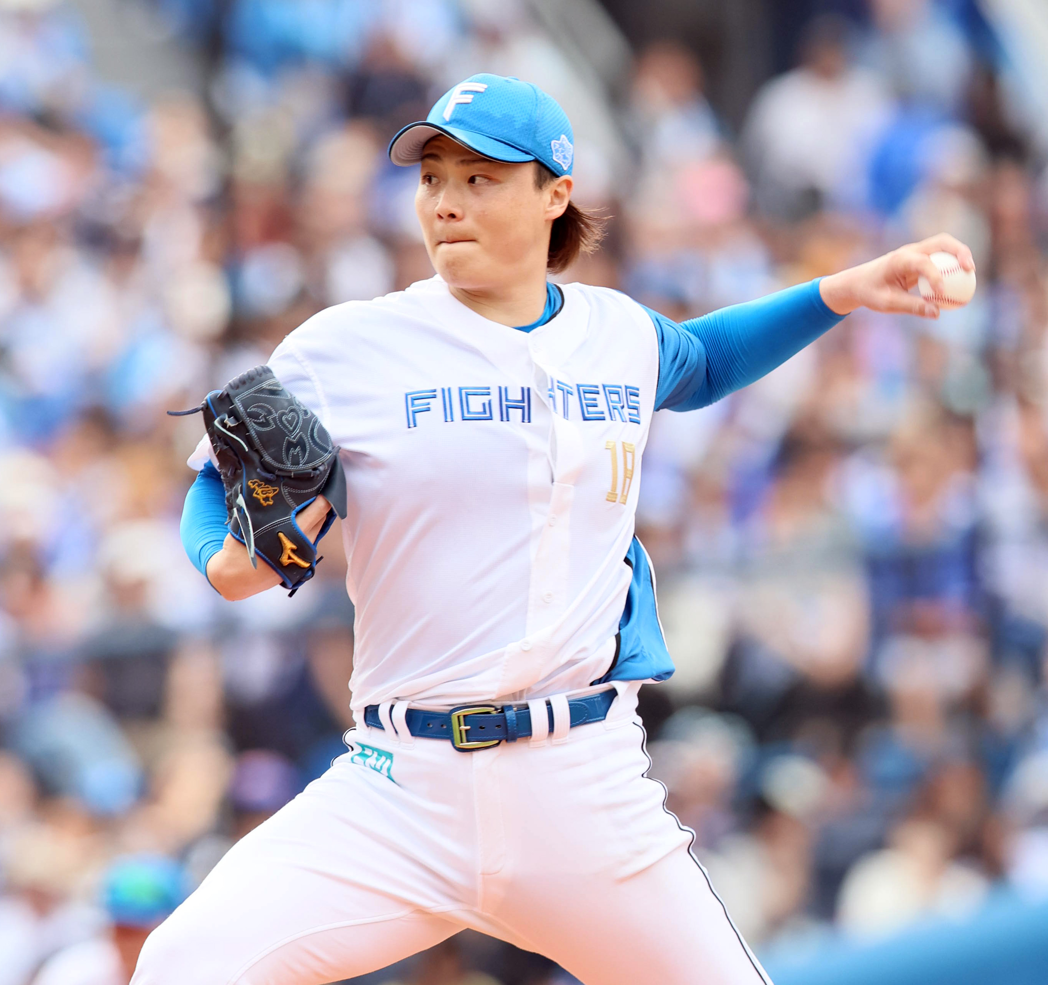 北海道日本ハムファイターズ 山崎福也 クリアファイル 3枚