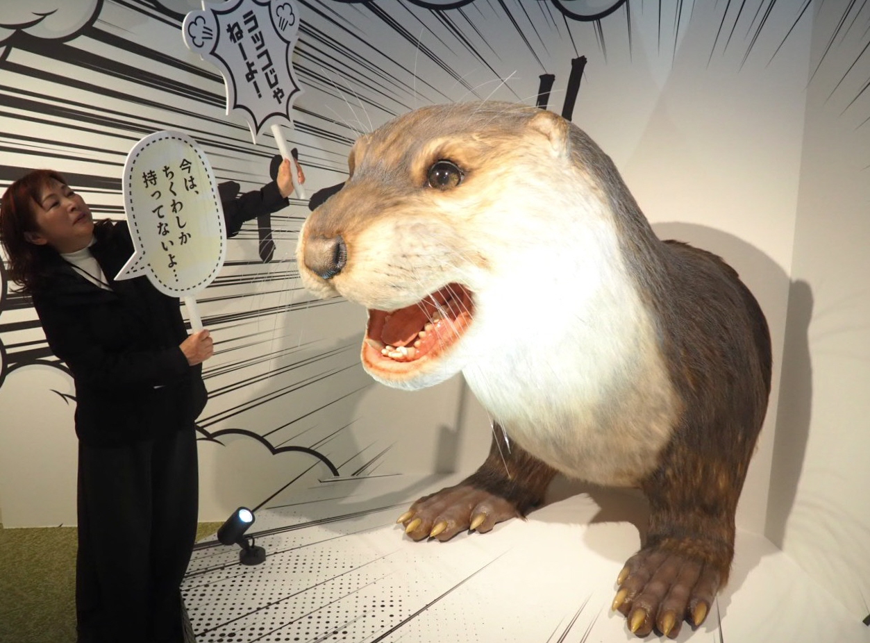 最後の目撃から47年の二ホンカワウソ 四国水族館が大捜索隊司令部設置