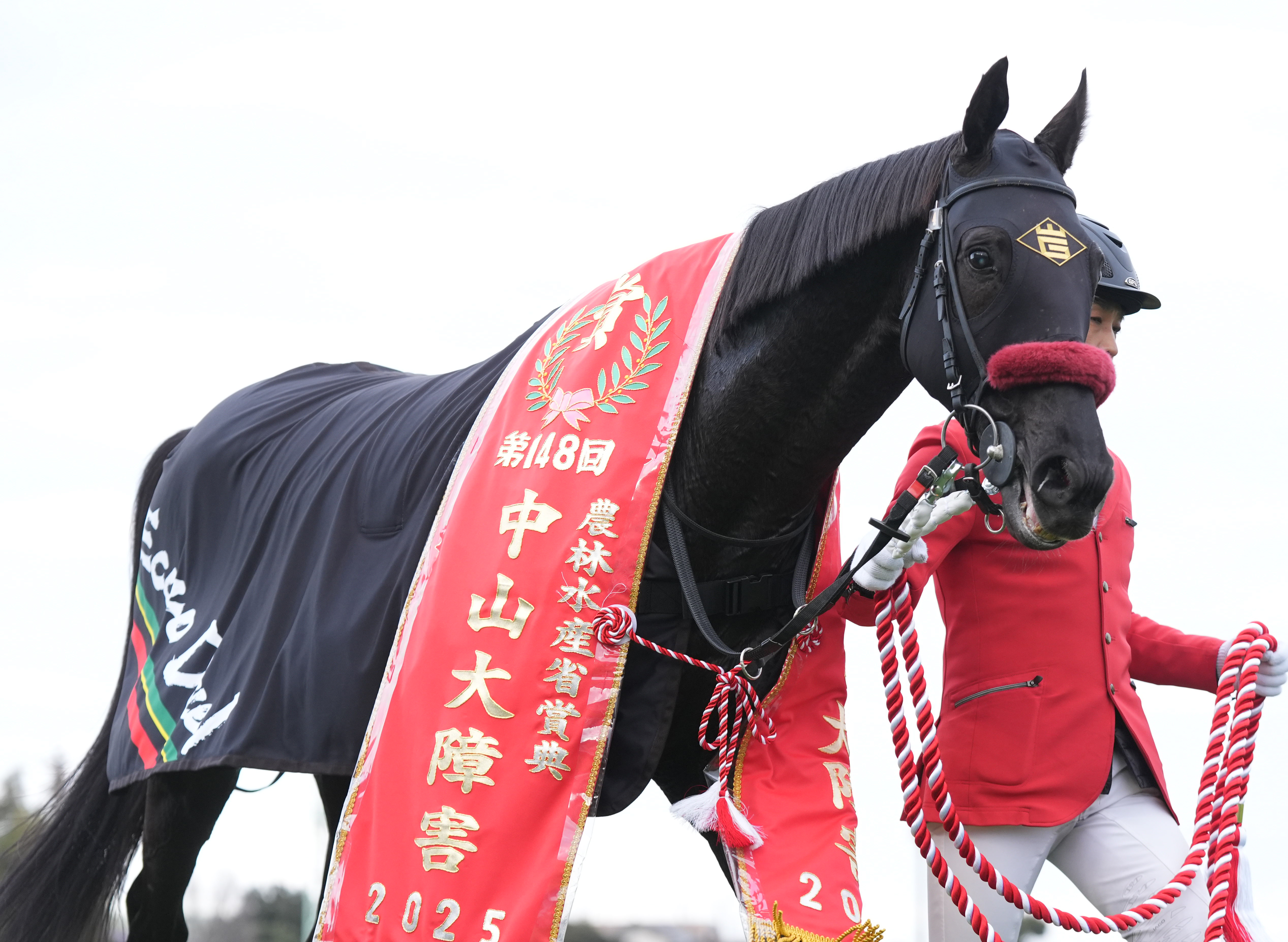 阪神競馬・阪神スプリングJ】障害王者エコロデュエルが始動！ 本日の