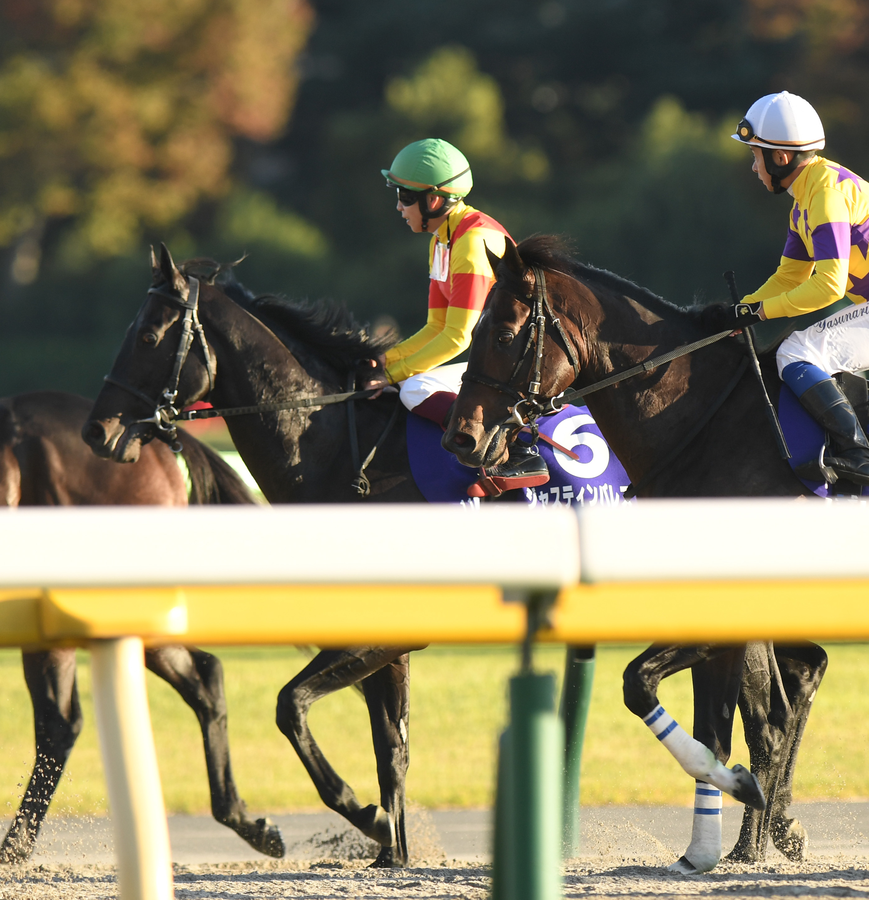に*ん様 ジャスティンパレス　2023有馬　ミニゼッケン　横山武史騎手　サイン入 天皇賞・秋】ジャスティンパレスが上がり最速で2着 横山武史騎手