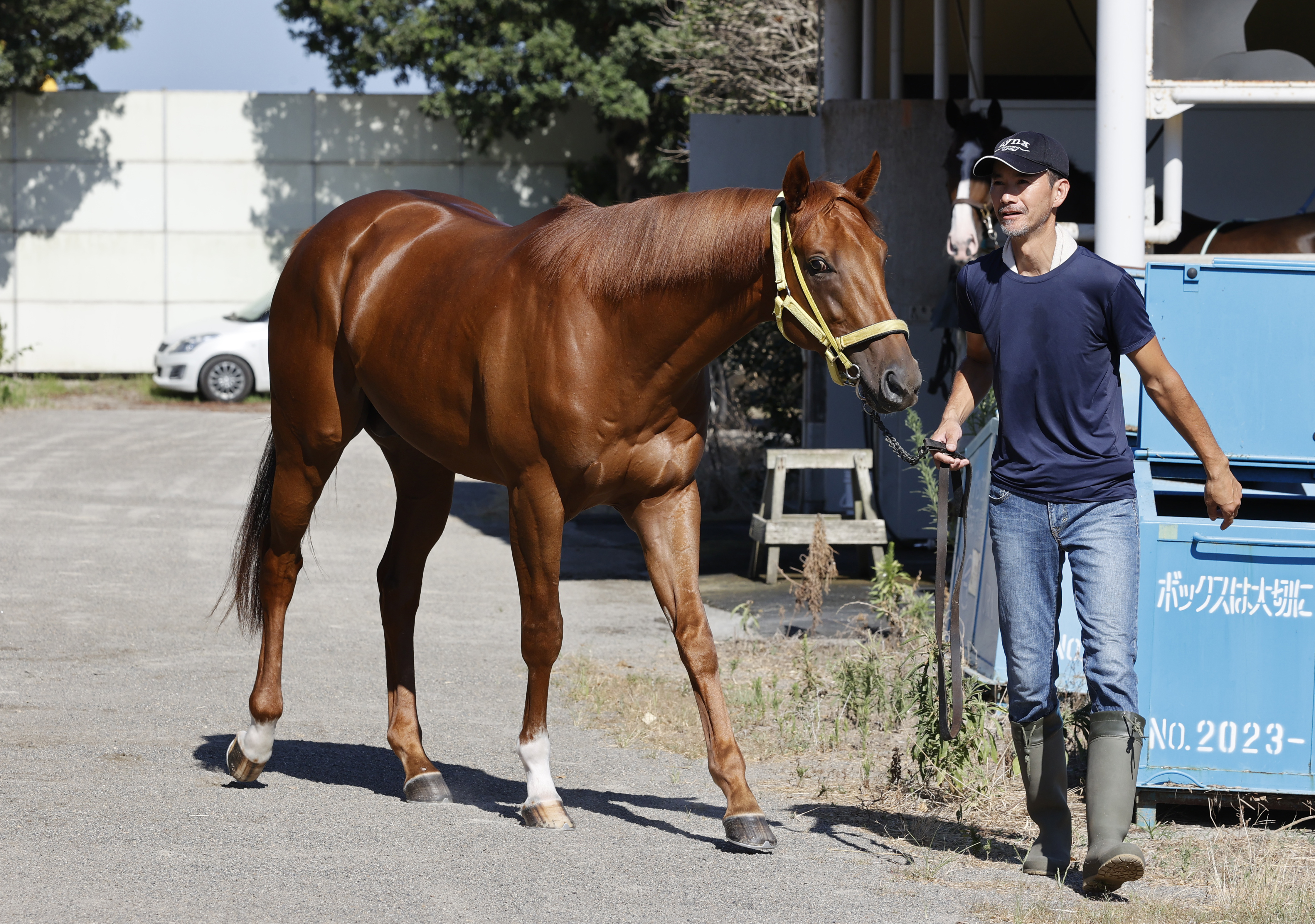 ウマびと】原優介騎手、重賞初VへレパードSにルグランヴァンと挑む