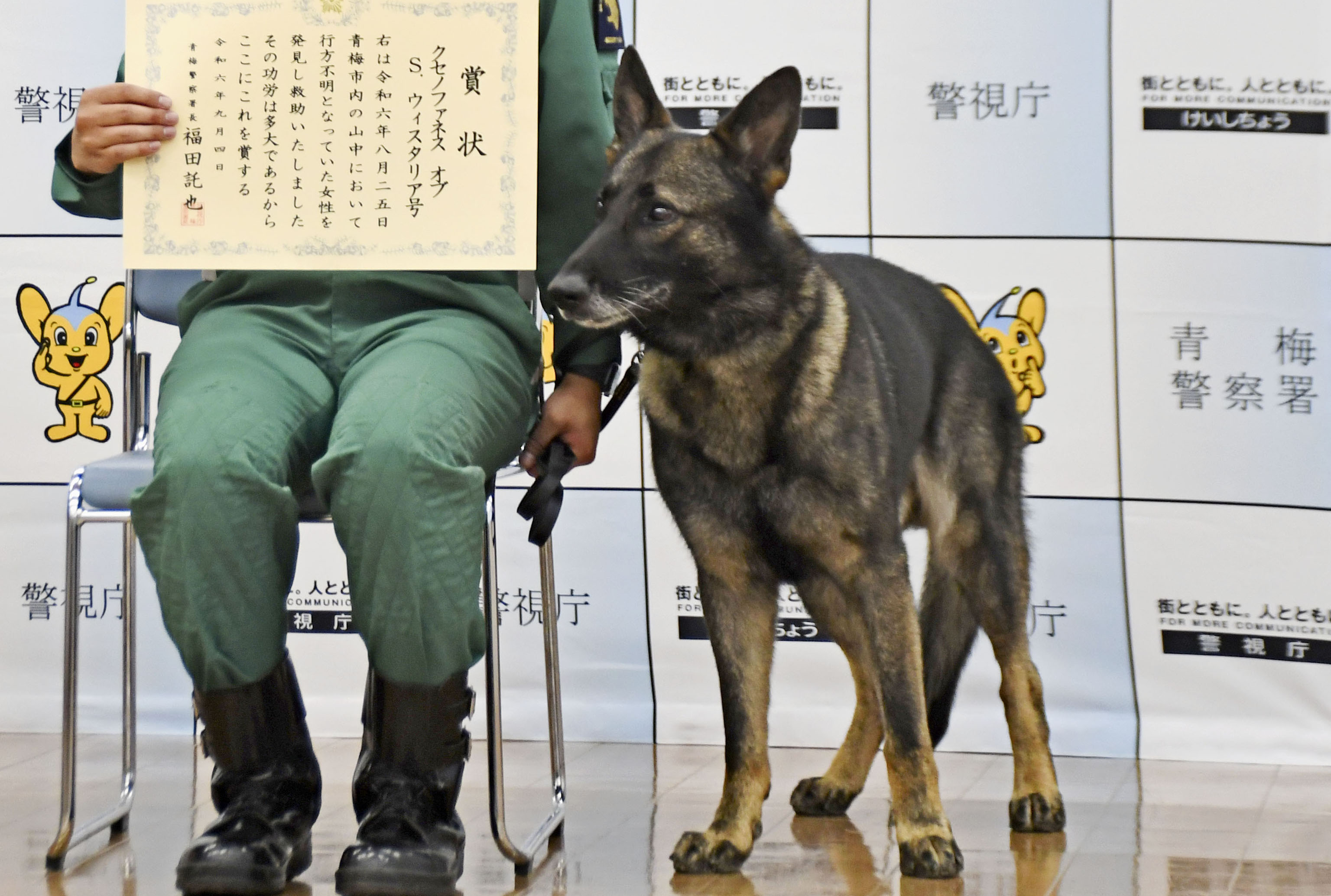 警備犬「クセノファネス号」お手柄 行方不明の81歳女性を山中で救助