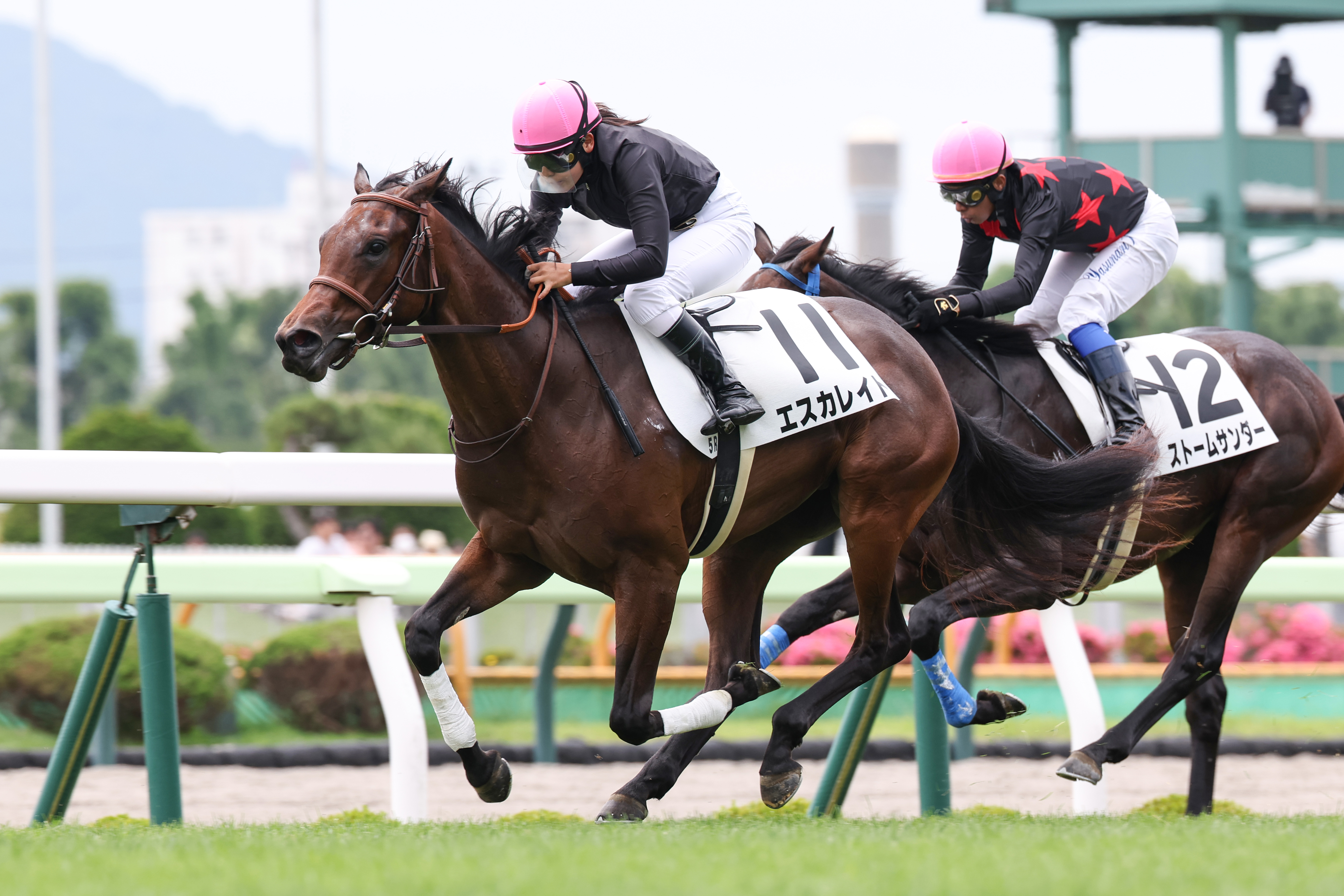 sawa様35点 ホワイトウルフ 7075アルミ合金警棒 26 鍔付