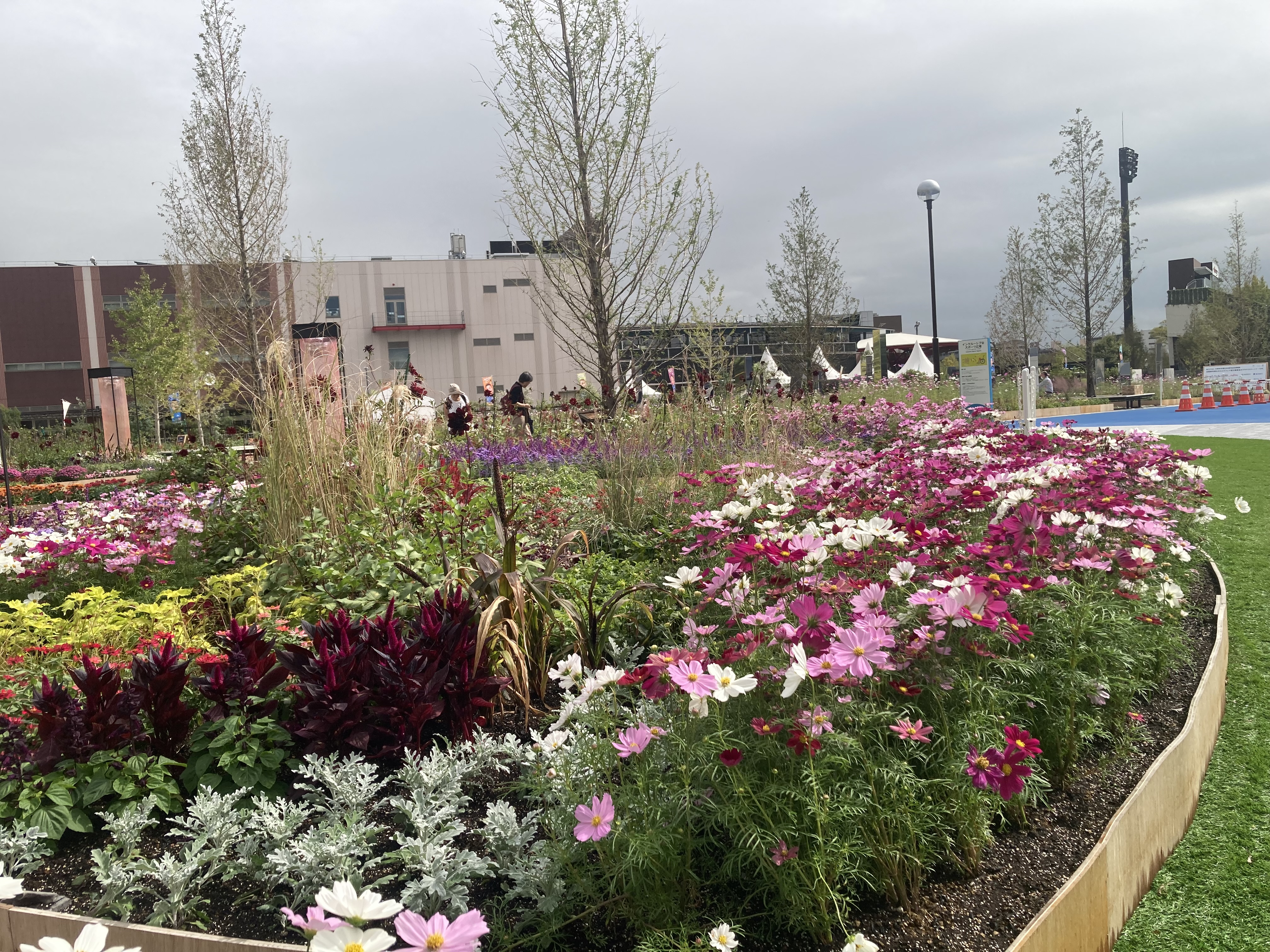 川崎で全国都市緑化フェア開催 330品種、12万5000株の花が彩り - 産経