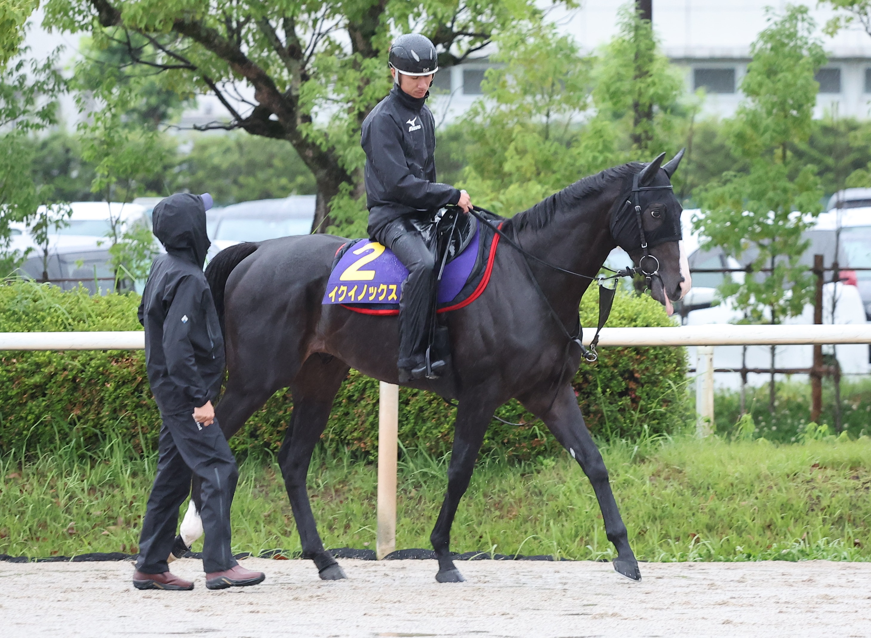 イクイノックスが１番人気 競馬の宝塚記念前日オッズ - 産経ニュース