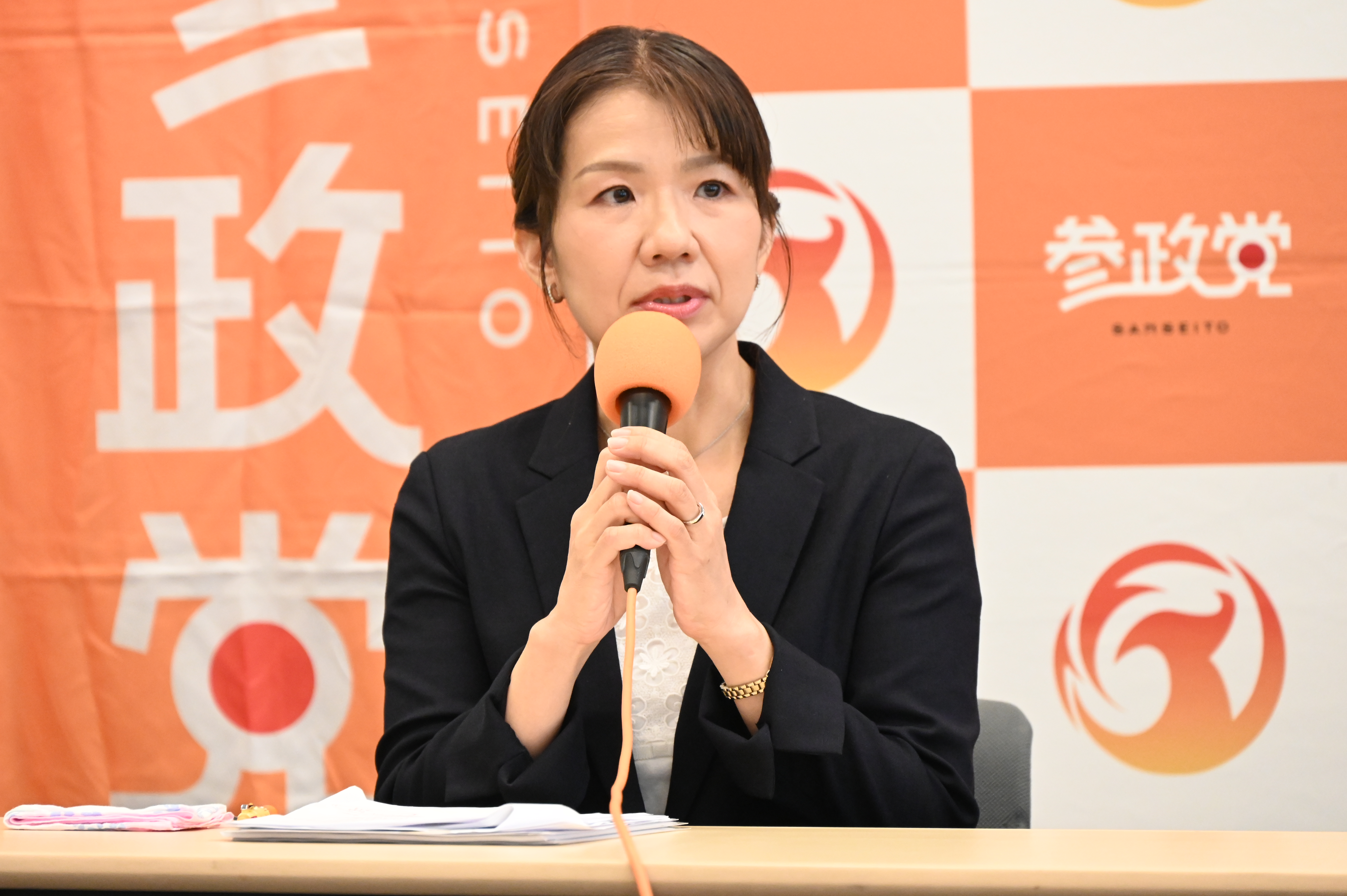 活動歴および当時の関連ビジュアル記録