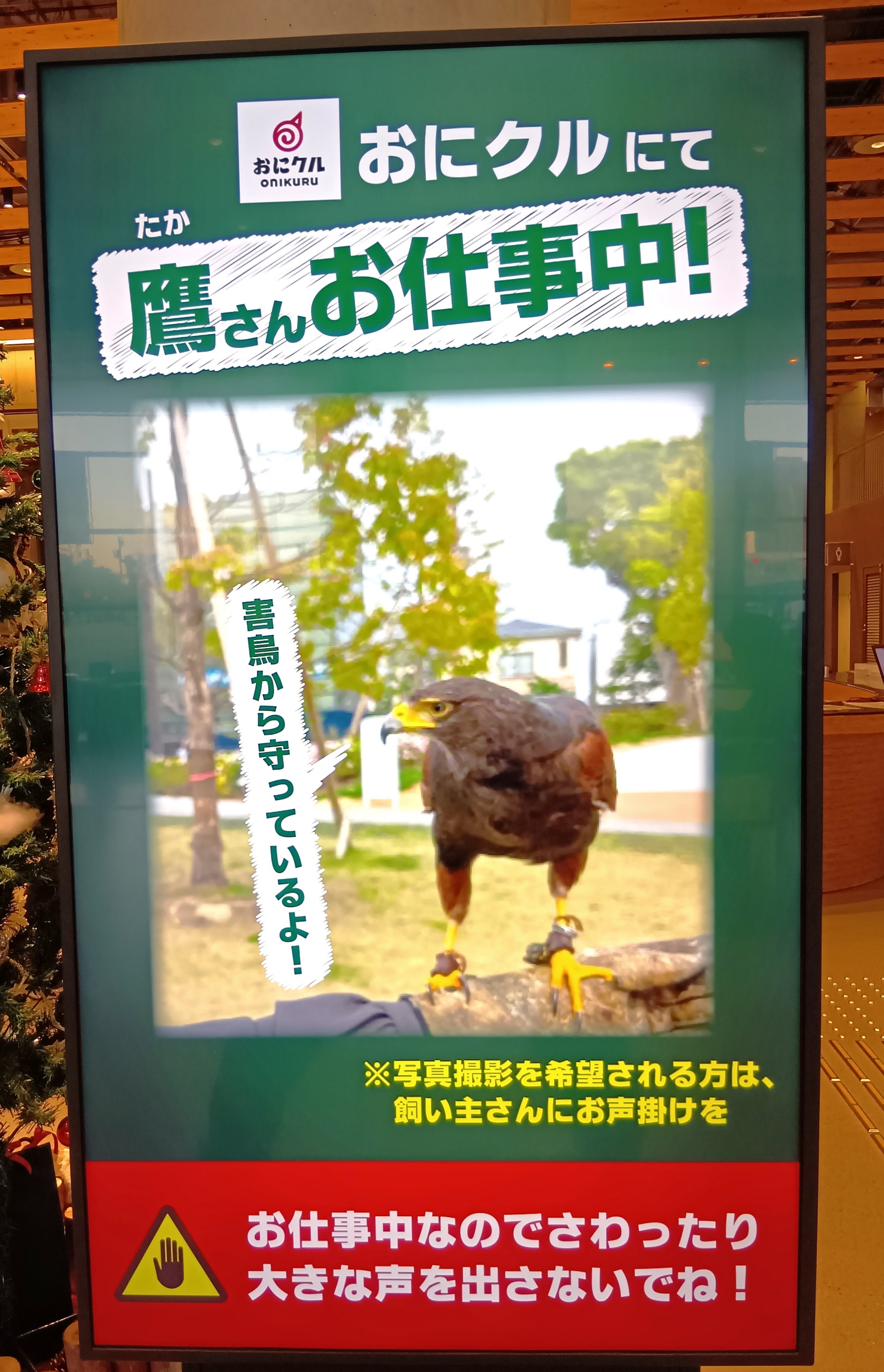 ペットの「タカ」が害鳥対策で活躍、大阪・茨木の人気施設や主要駅で糞