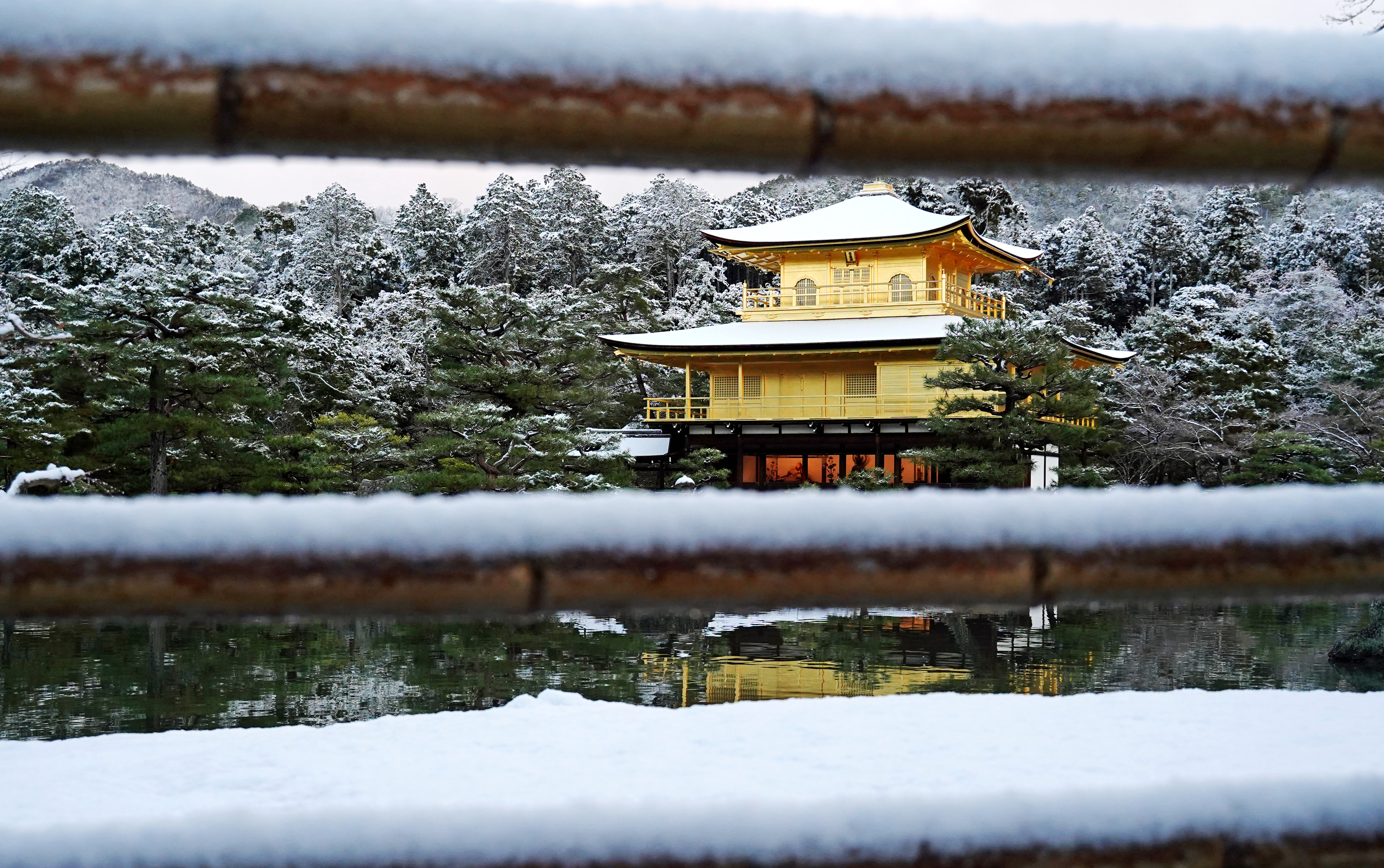 福島一二三、【金閣寺雪景】、希少な画集画、新品高級額・額装付 福島一二三、【金閣寺雪景】、希少な画集画、新品高級額・額装付