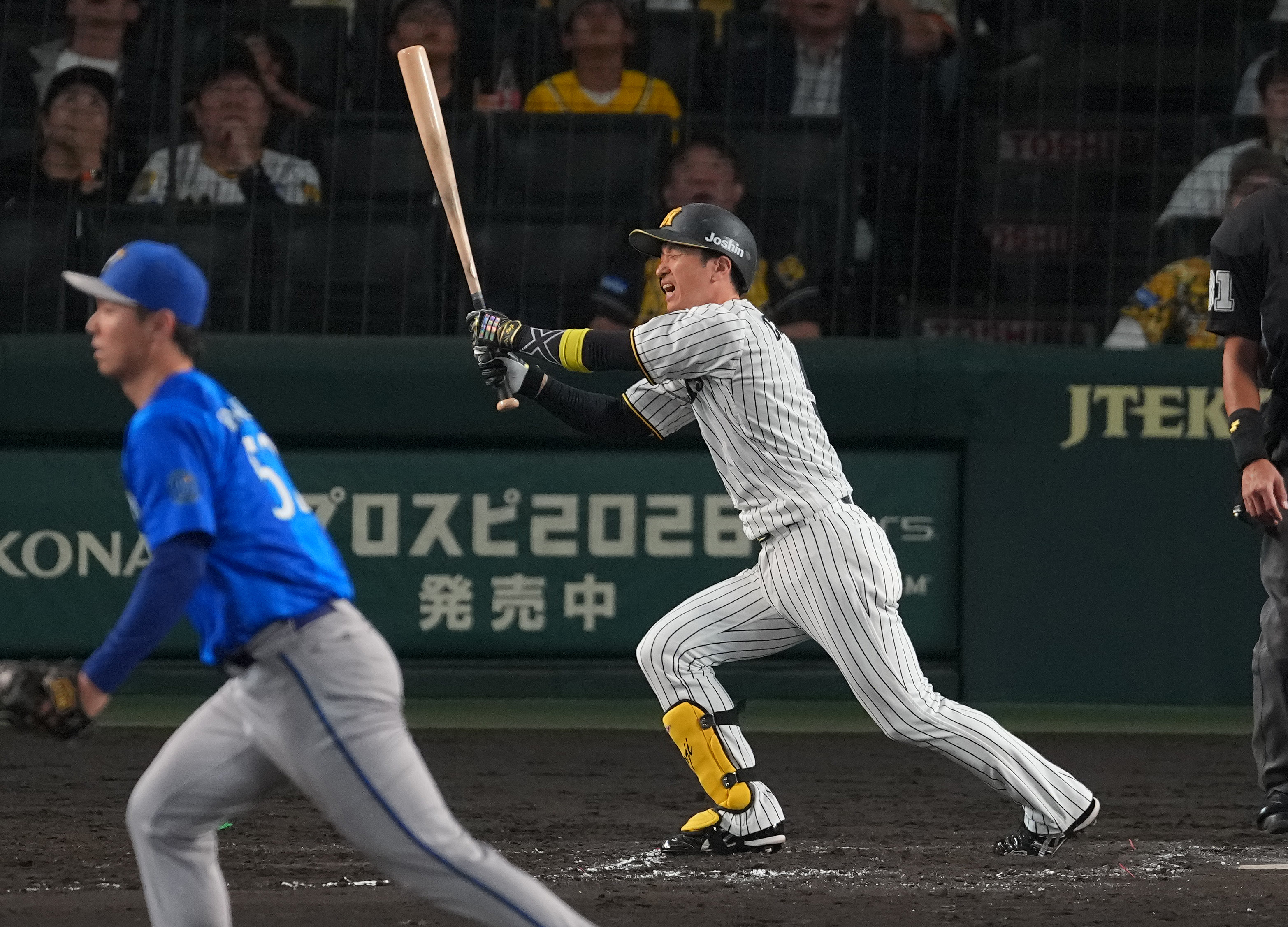 活動歴および当時の関連ビジュアル記録