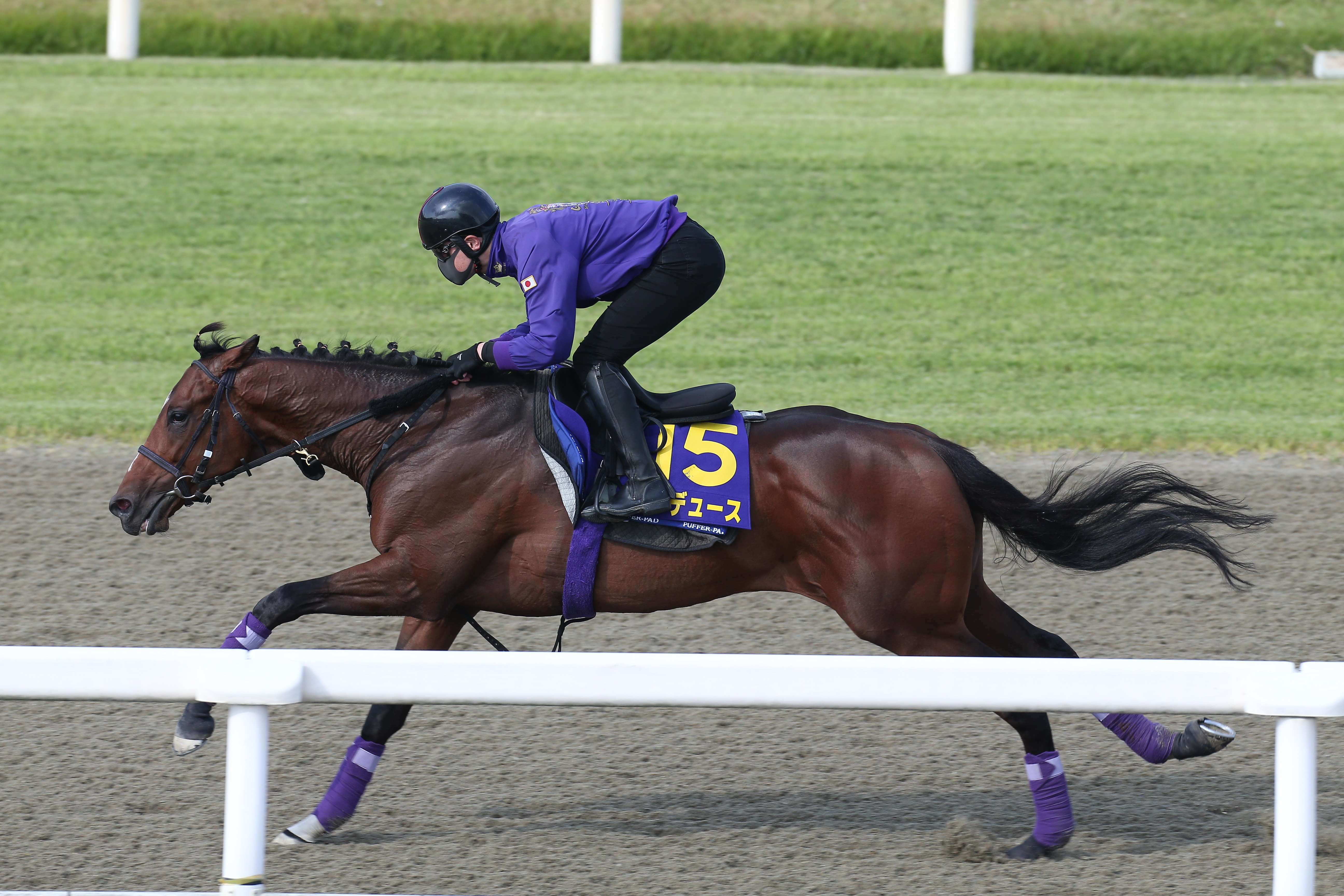 ドウデュース１番人気 日本ダービー前日オッズ - 産経ニュース