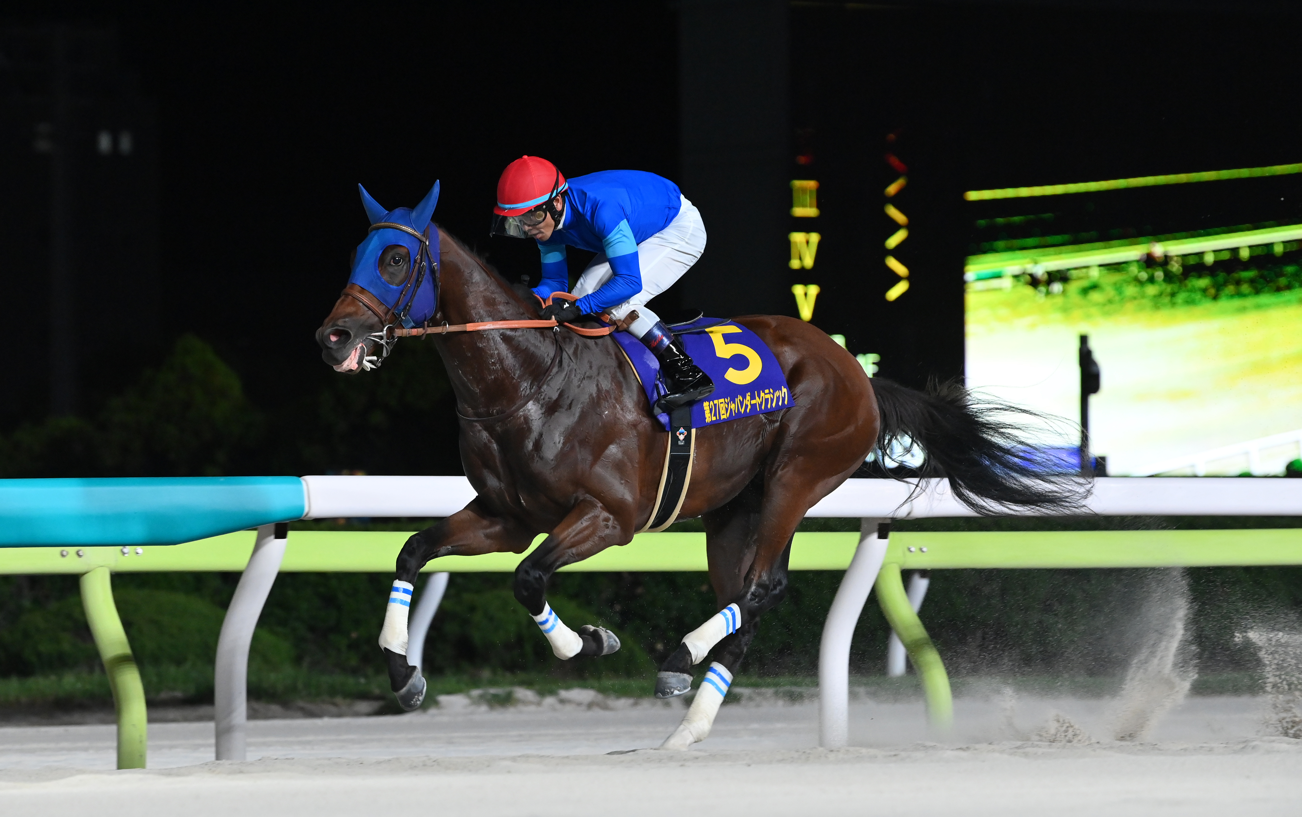 合う馬 20250821s10004048317000p_thum.webp