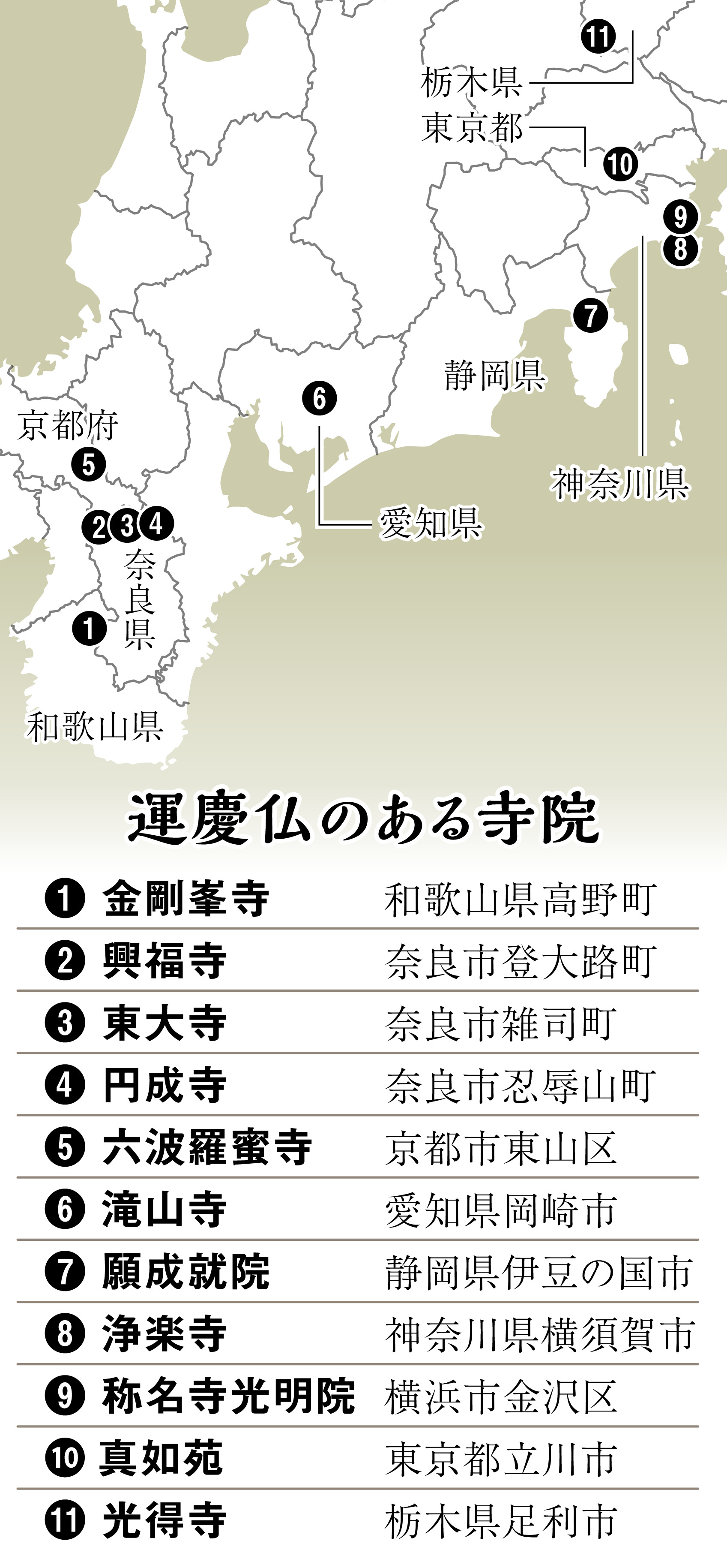 真如苑 政党