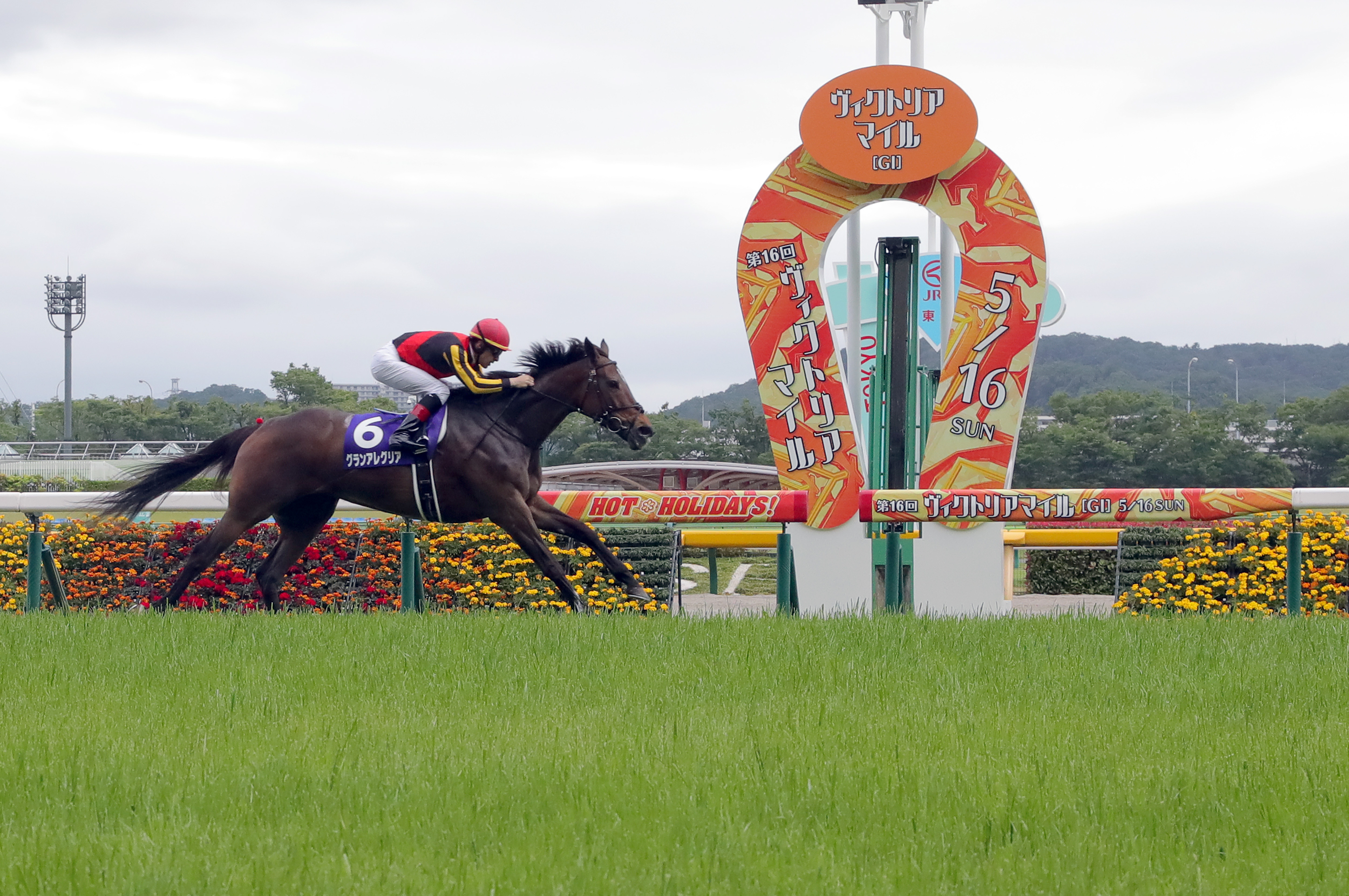 競馬 JRA グランアレグリア ヴィクトリアマイル ポスター B1 グランアレグリアが優勝 競馬のヴィクトリアM - 産経ニュース