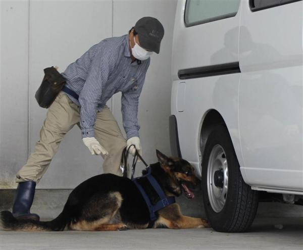 関西の議論 五輪 サミット控え活躍期待される 爆発物探知犬 テロ防止へ需要高まるも育成が課題 1 4ページ 産経ニュース