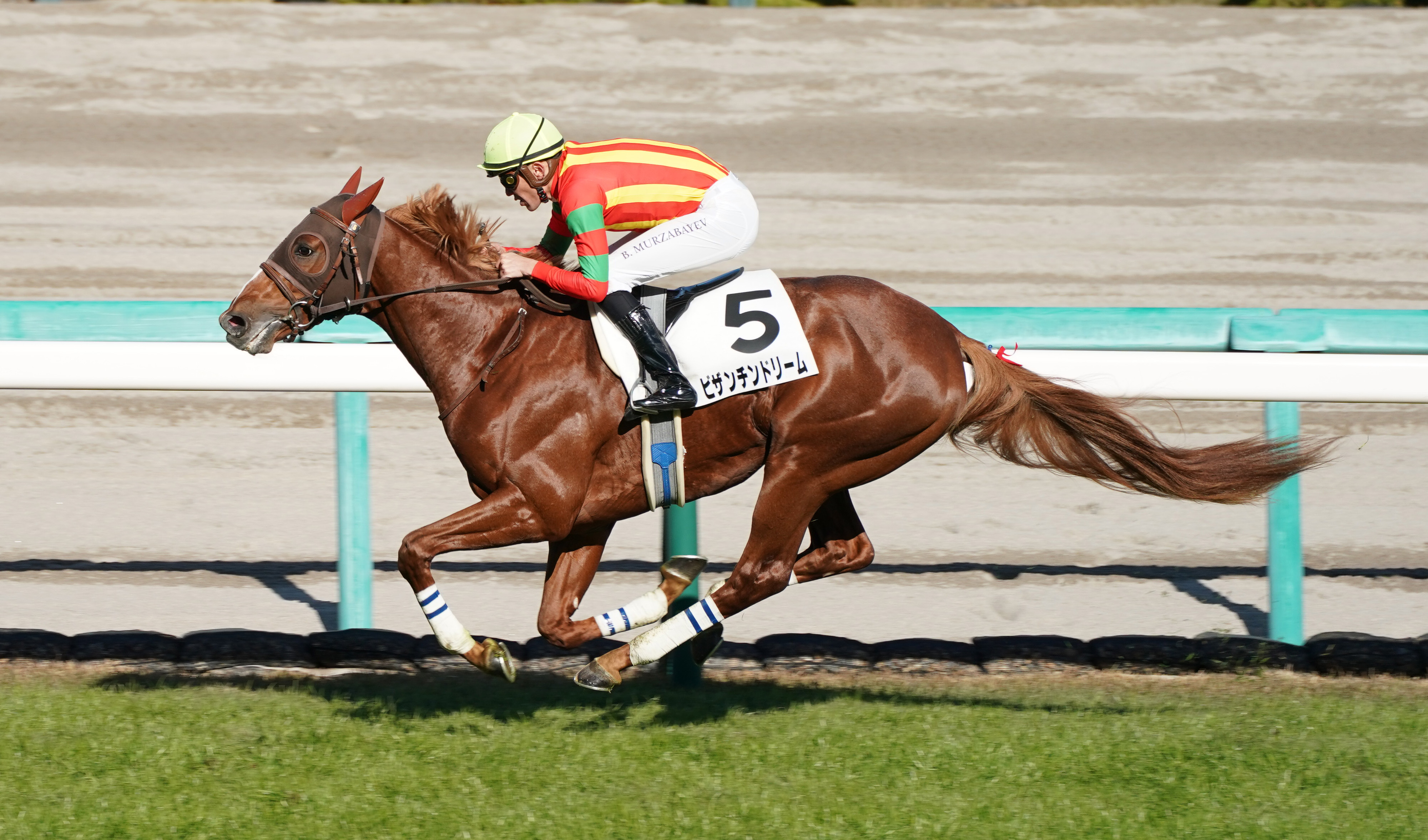 ＰＯＧ調査隊】新馬戦快勝のビザンチンドリーム 新コンビで２・４ 