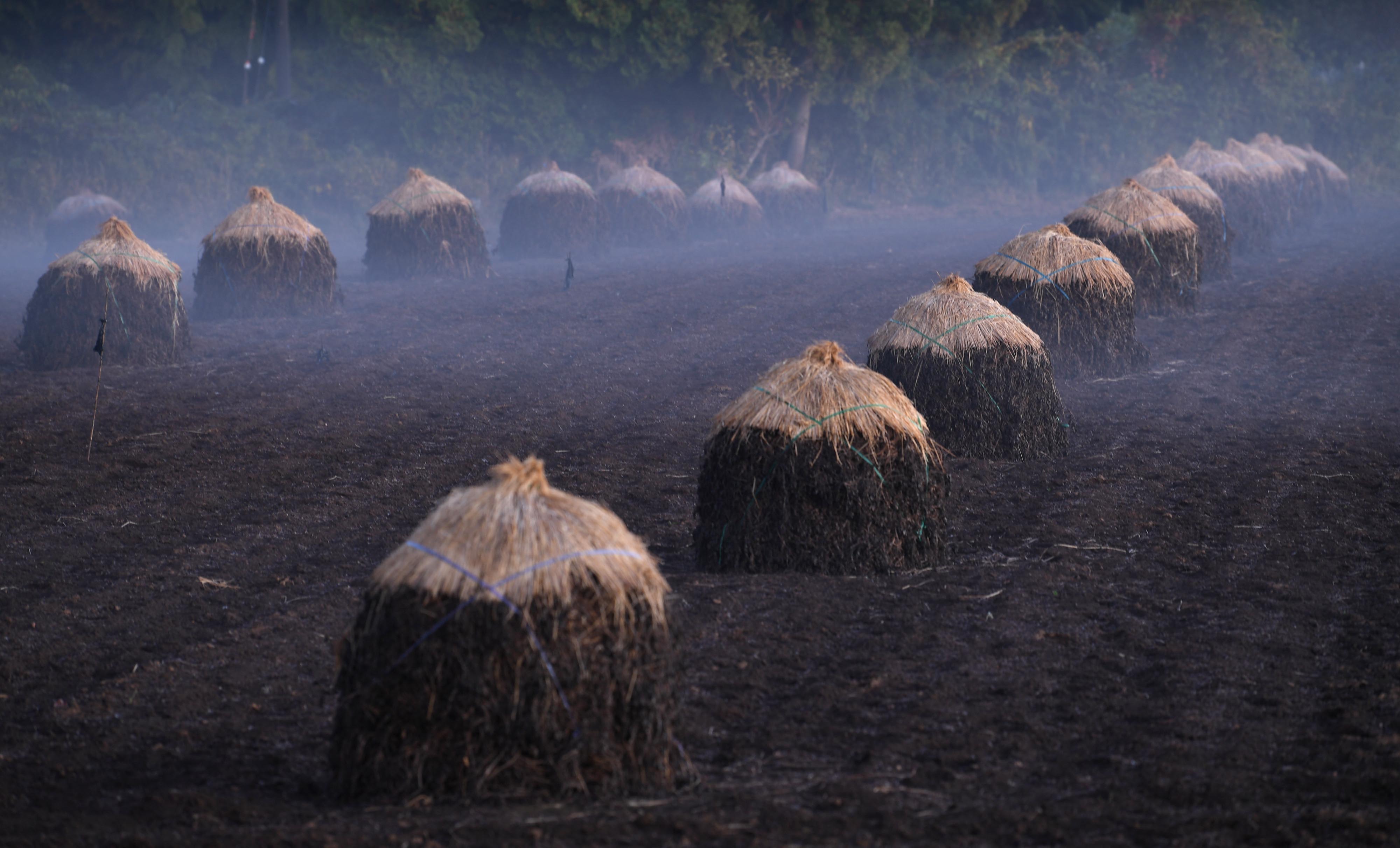 フォト特集 動画 落花生 乾かす 帽子 の列 千葉 晩秋の ぼっち 産経ニュース フォト特集 動画 落花生 乾かす 帽子 の列 千葉 晩秋の ぼっち 産経ニュース