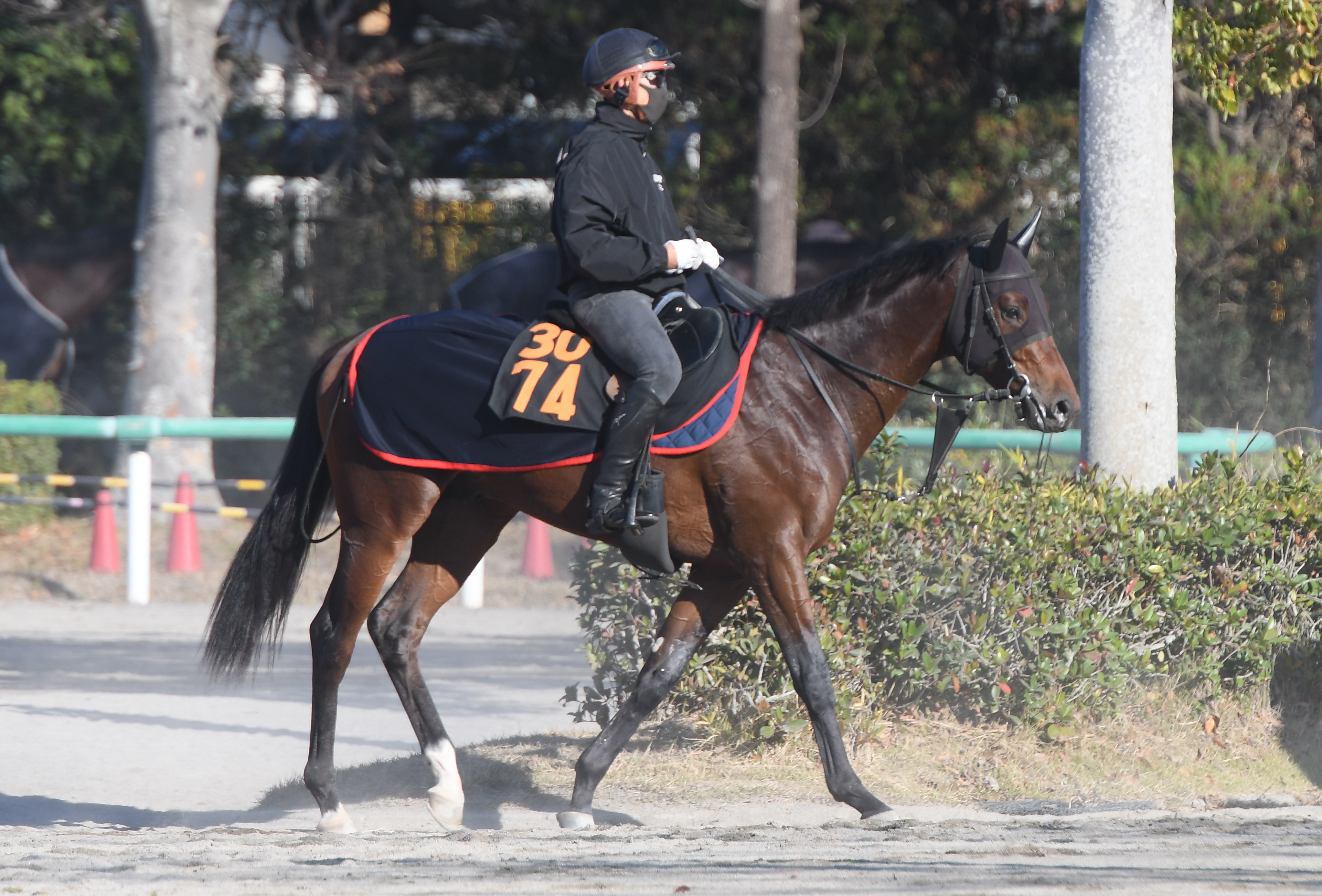 今日の注目新馬】ヴァロアーク動き活発 近親に重賞馬多数／東京5R