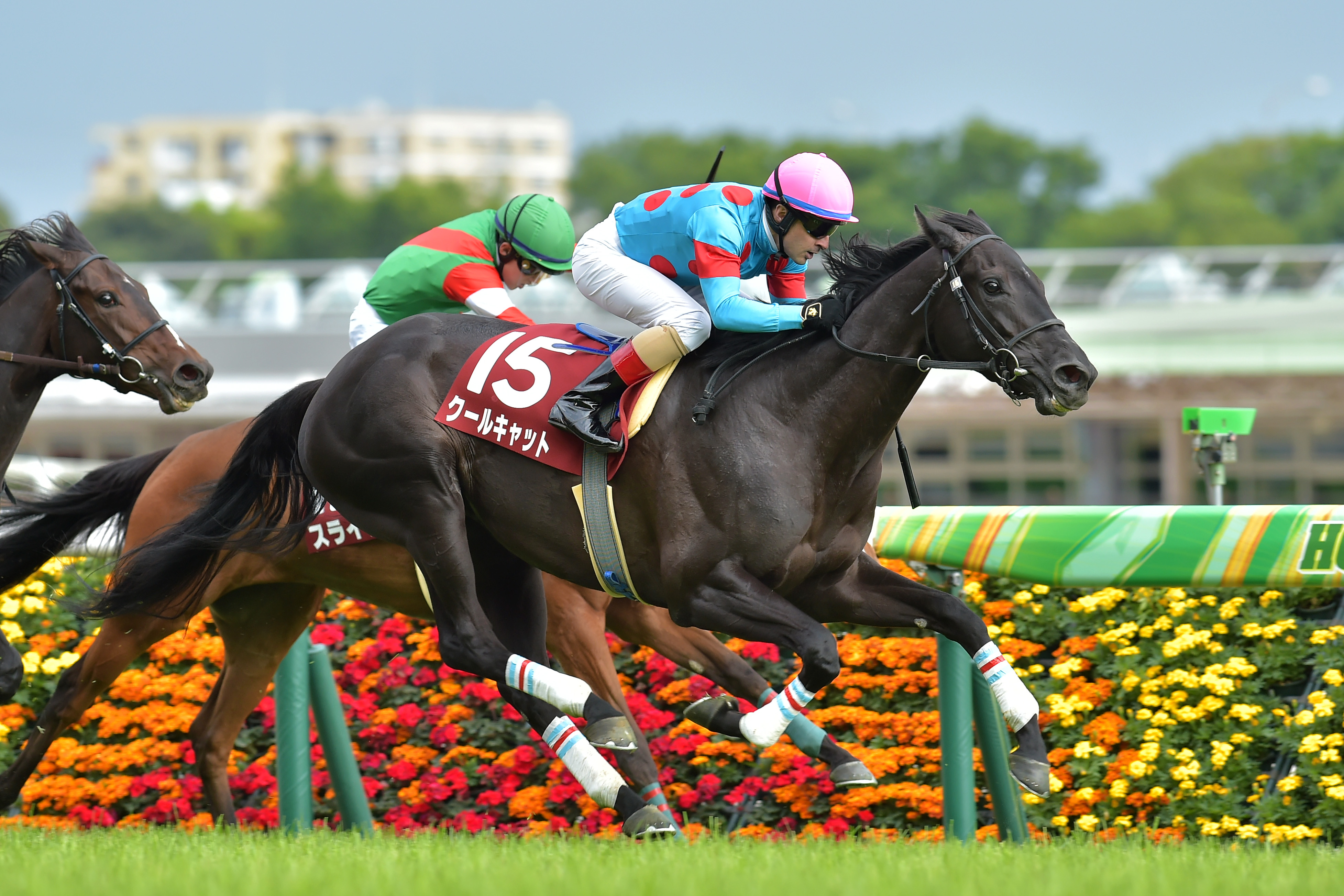 サマー２０００シリーズは２年続けて優勝馬該当なし