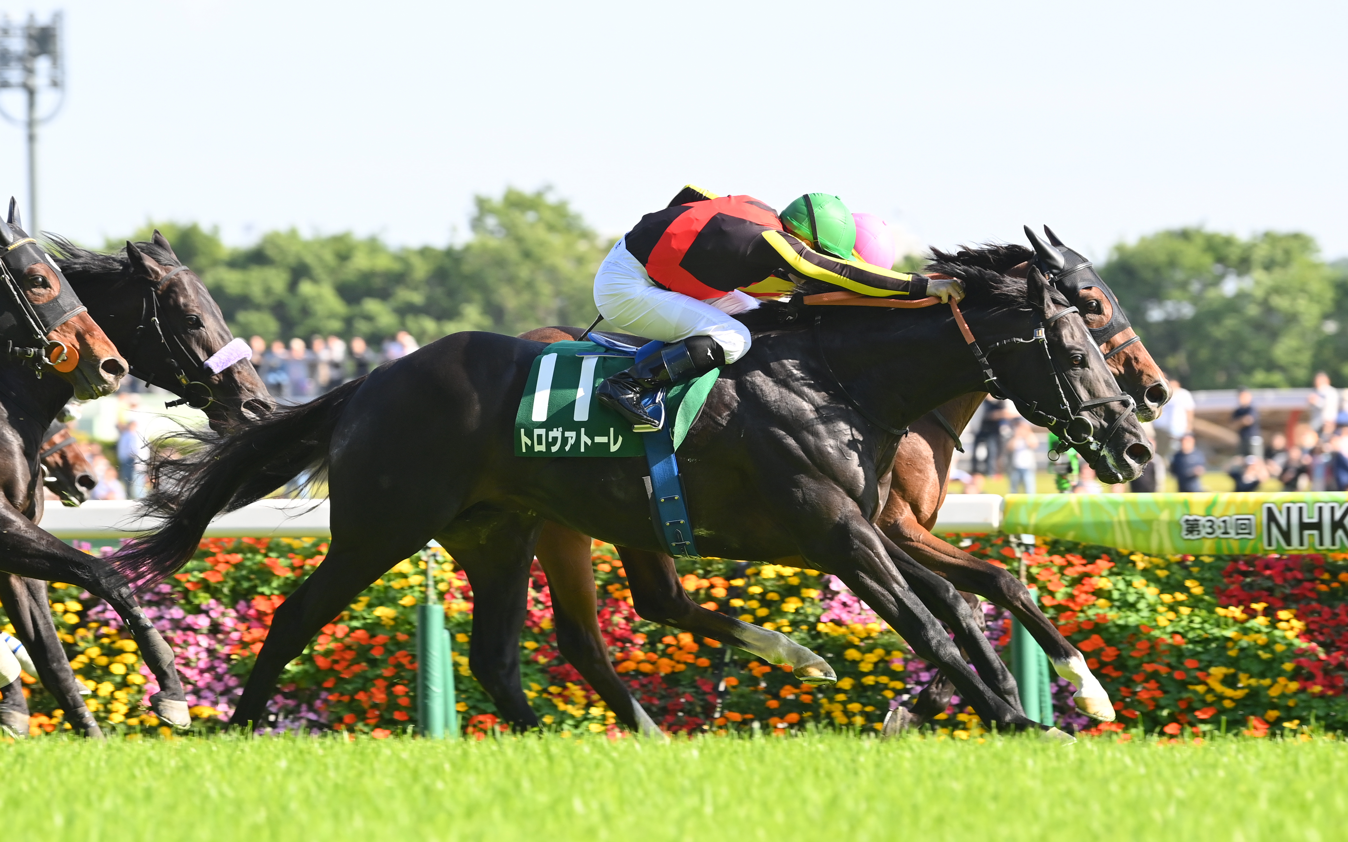 安田記念 枠順確定】重賞連勝中のトロヴァトーレは大外8枠17番、ガイア
