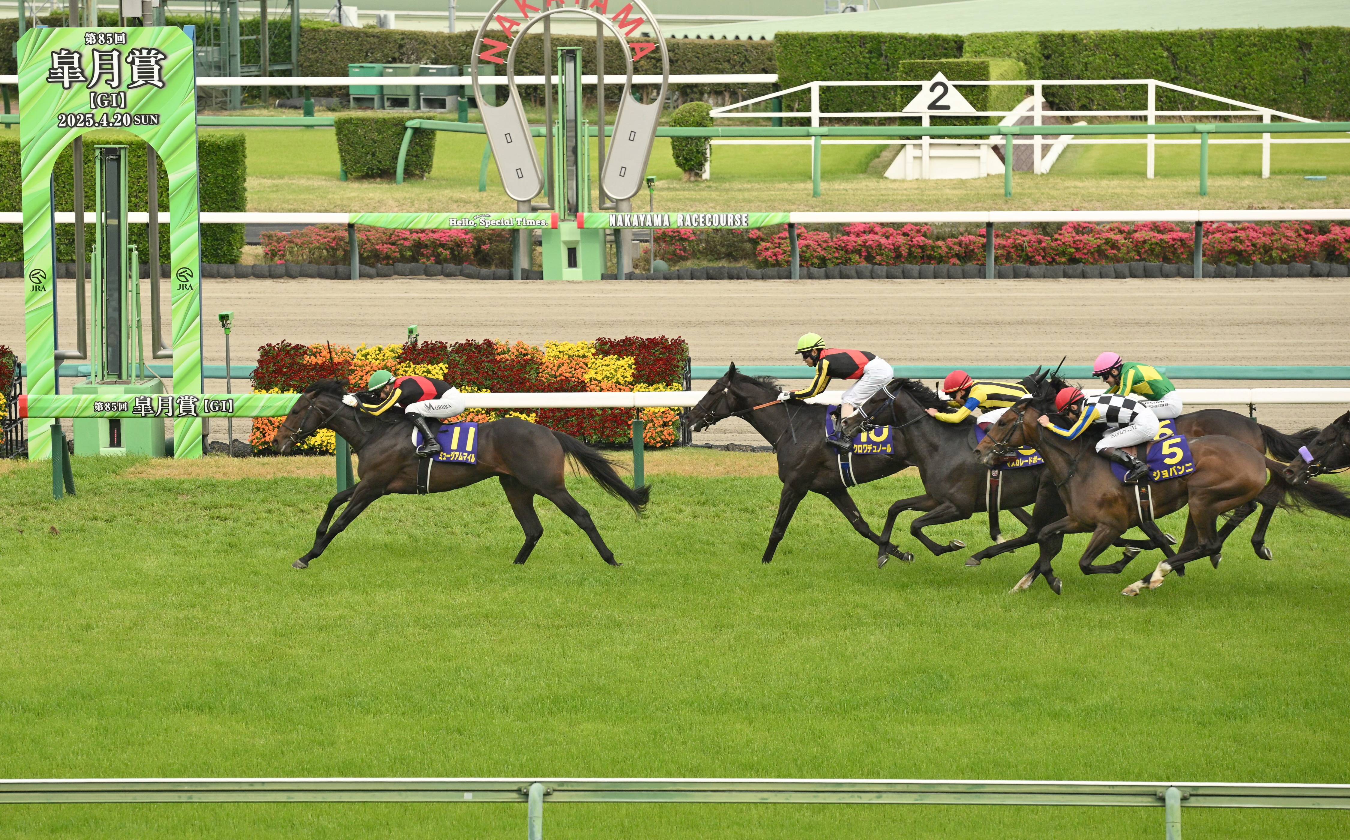 巷で話題！ シーズン到来の競馬「POG（ペーパーオーナーゲーム）」とは