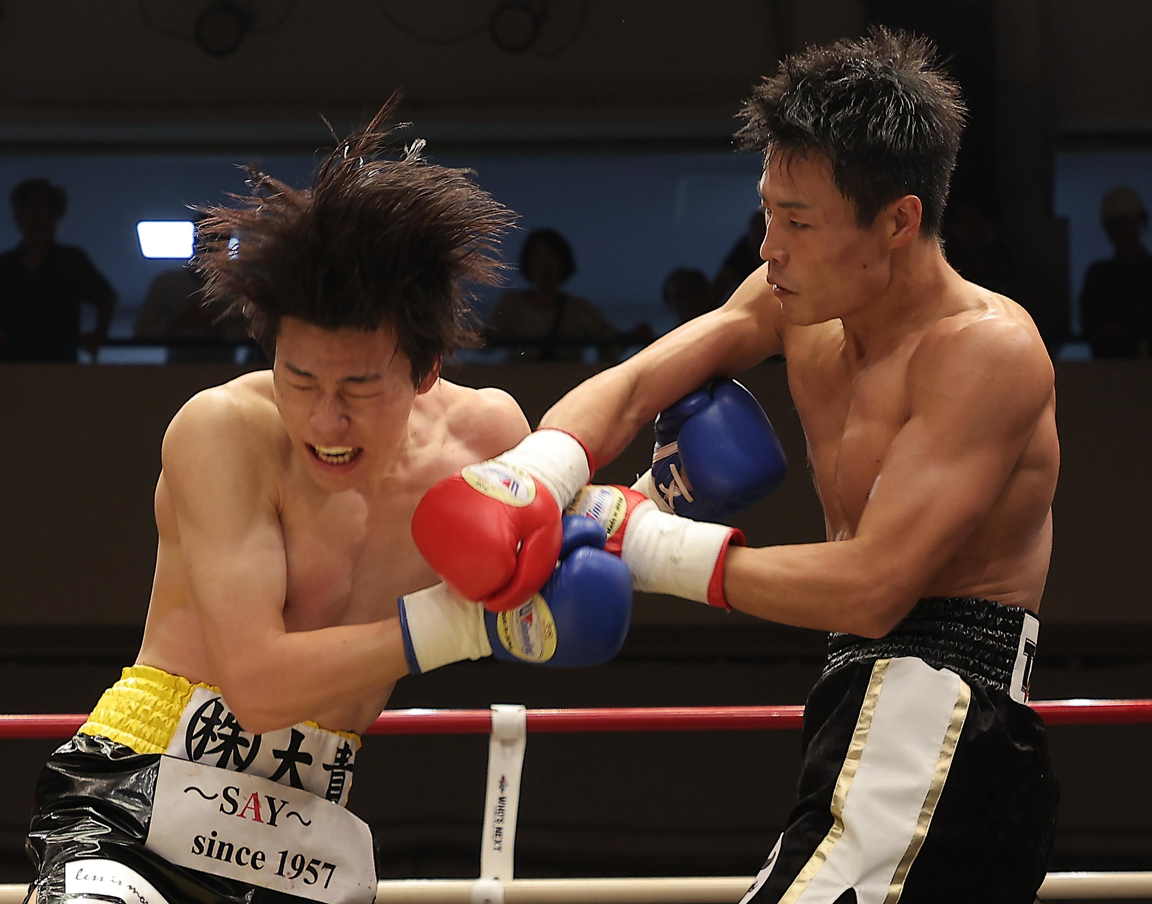 ボクシング】Sexy Zone菊池風磨の弟、菊池音央が西畑直哉に