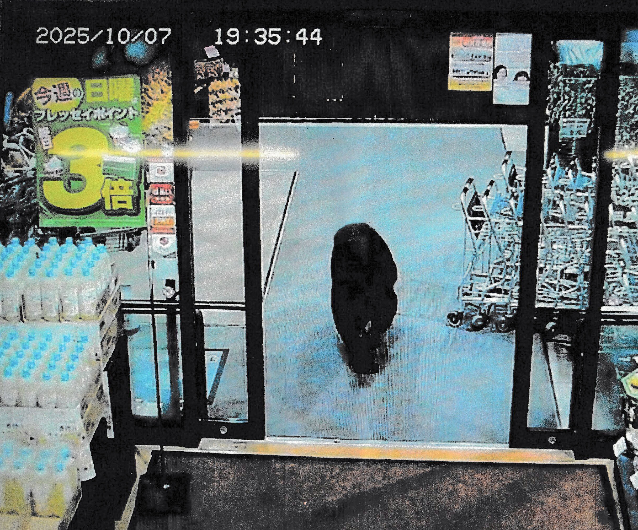 スーパーにクマ、2人負傷 店外へ逃走、群馬・沼田市 - サンスポ