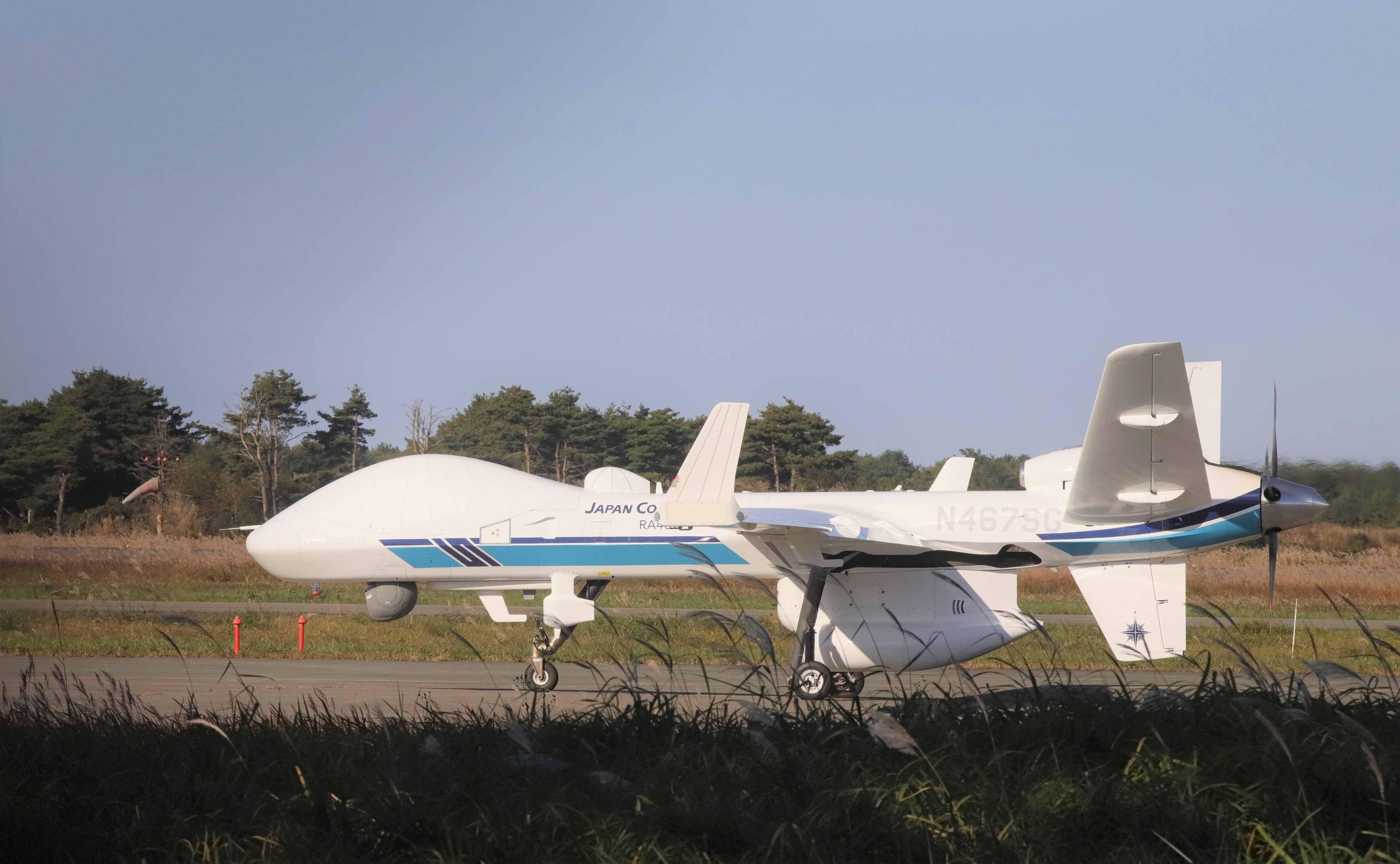 凱撒（シーザー）群生7頭 凱撒（シーザー）群生7頭