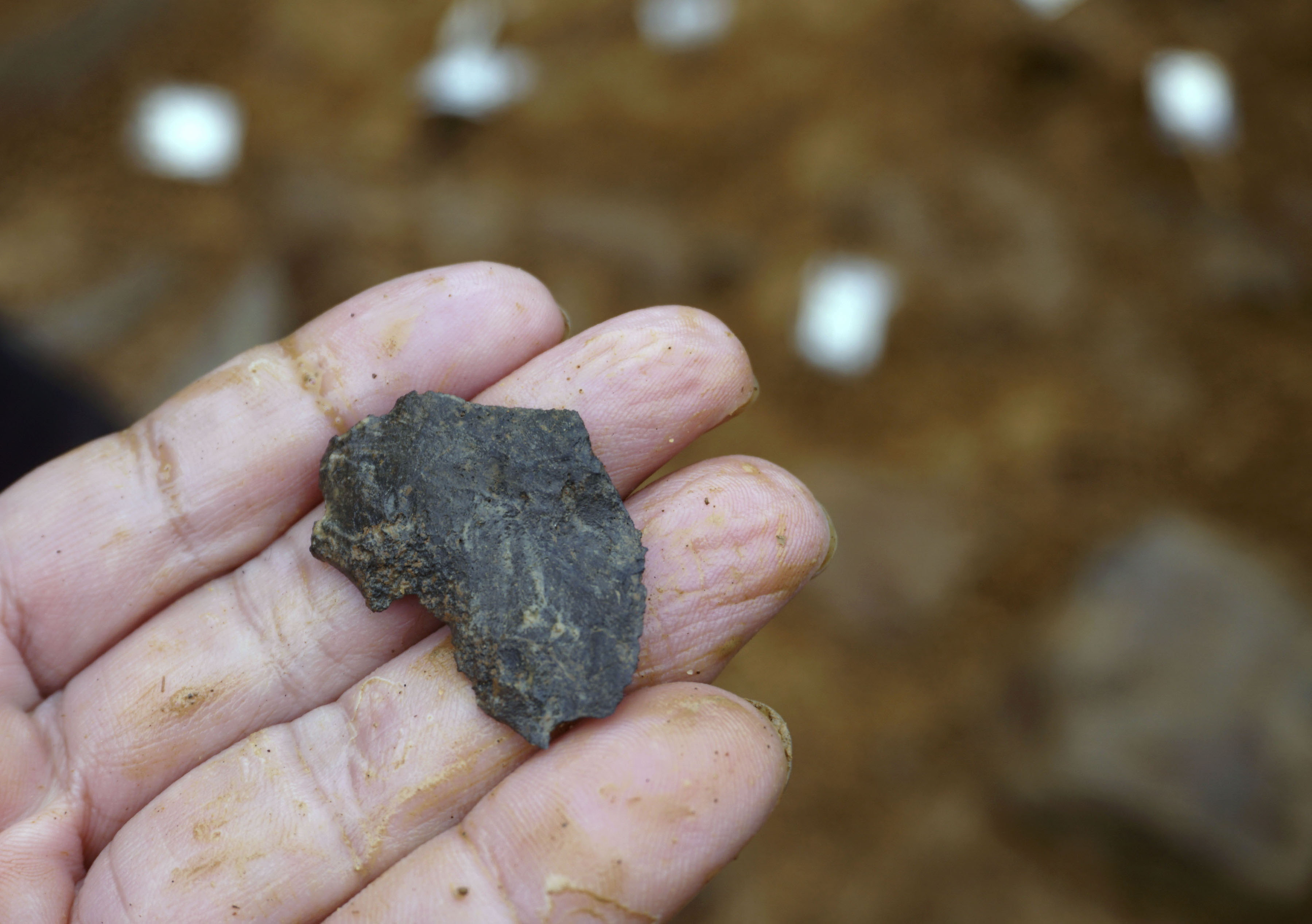 出土石器 5点 4万年超前の石器出土、さらに400点以上 広島・冠遺跡「当時としては