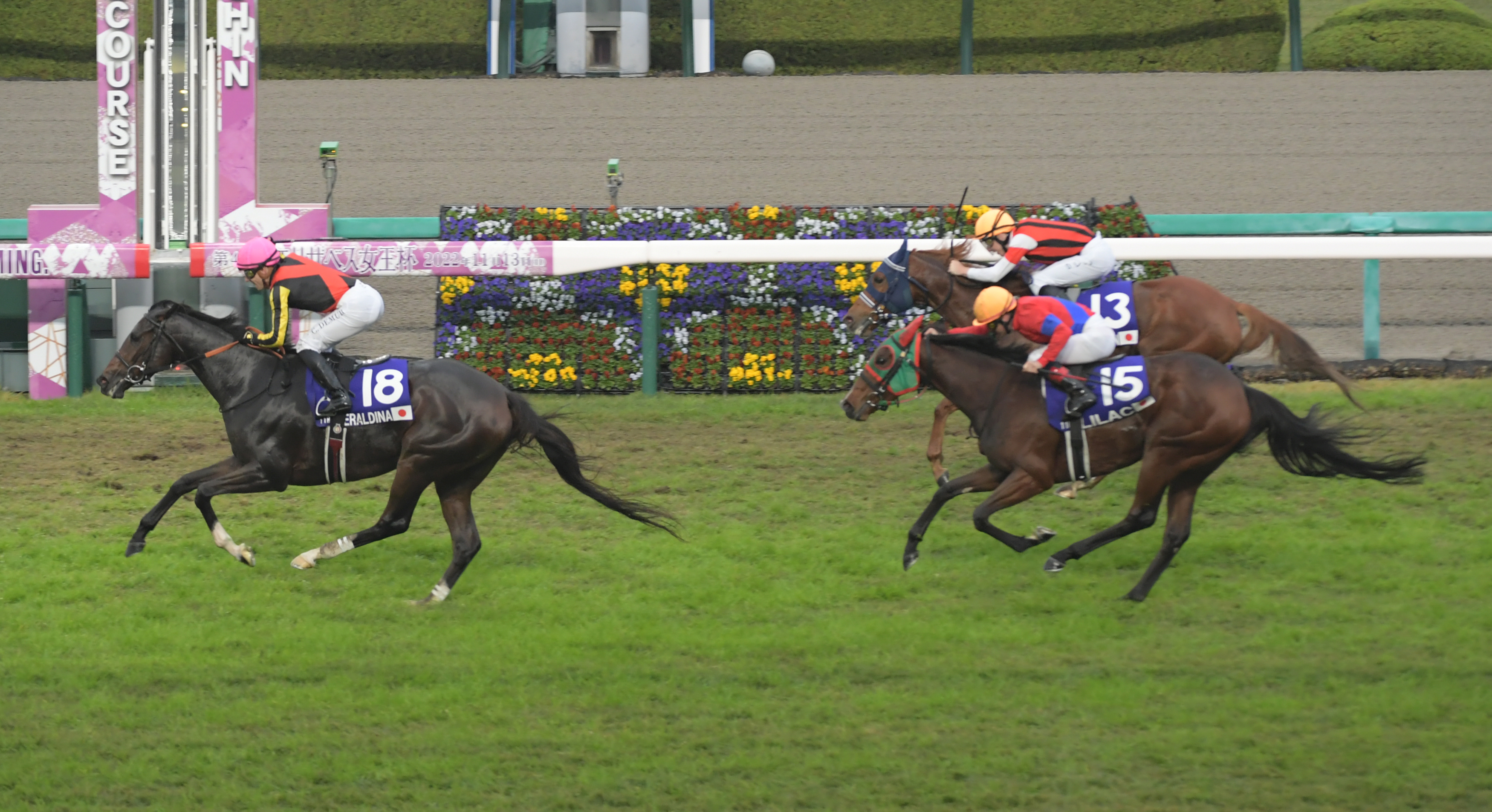 エリザベス女王杯】ウインマリリン、ライラックがJRA・GⅠで史上