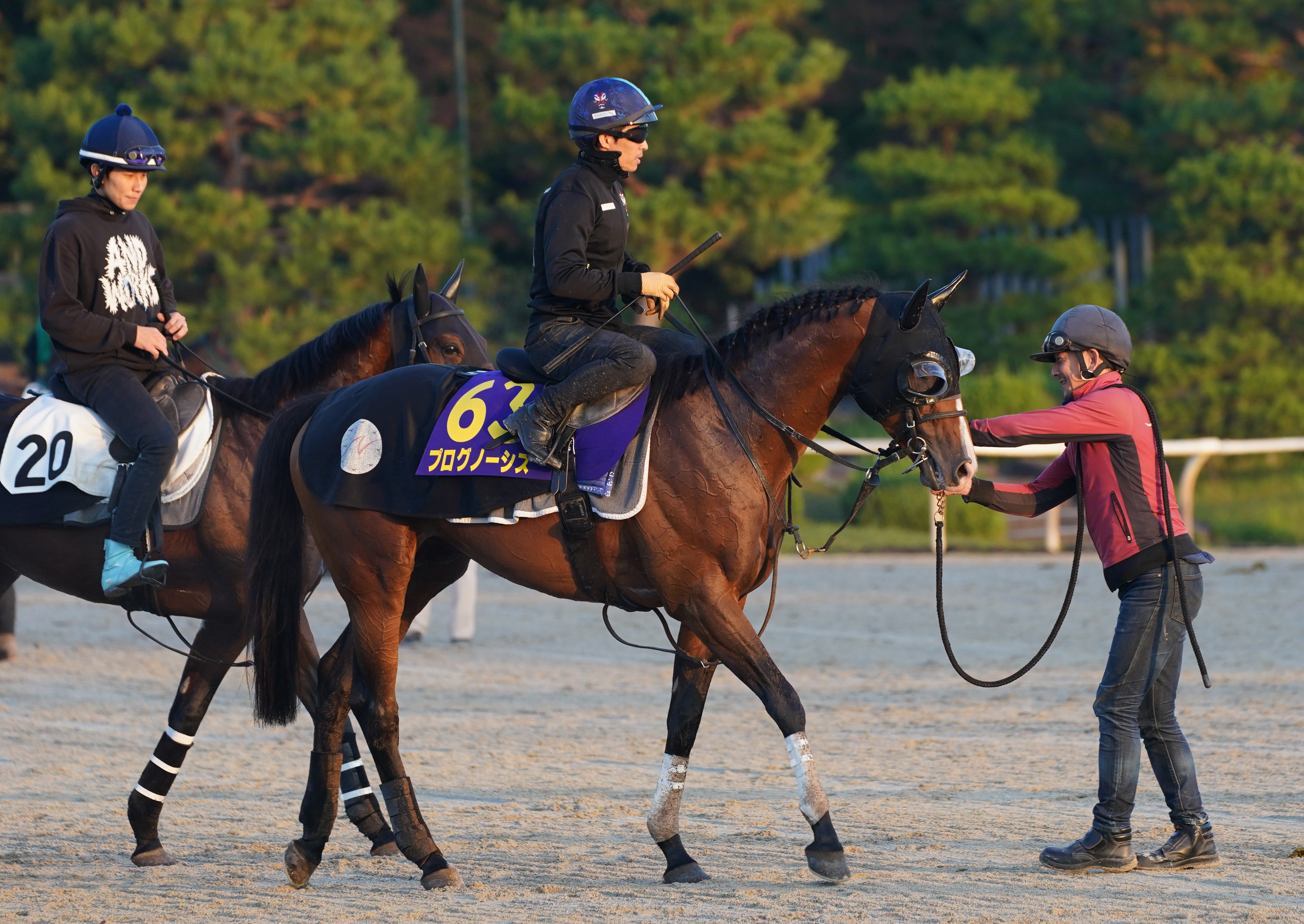 【天皇賞・秋】札幌記念４馬身差圧勝のプログノーシス 初の東京 ...