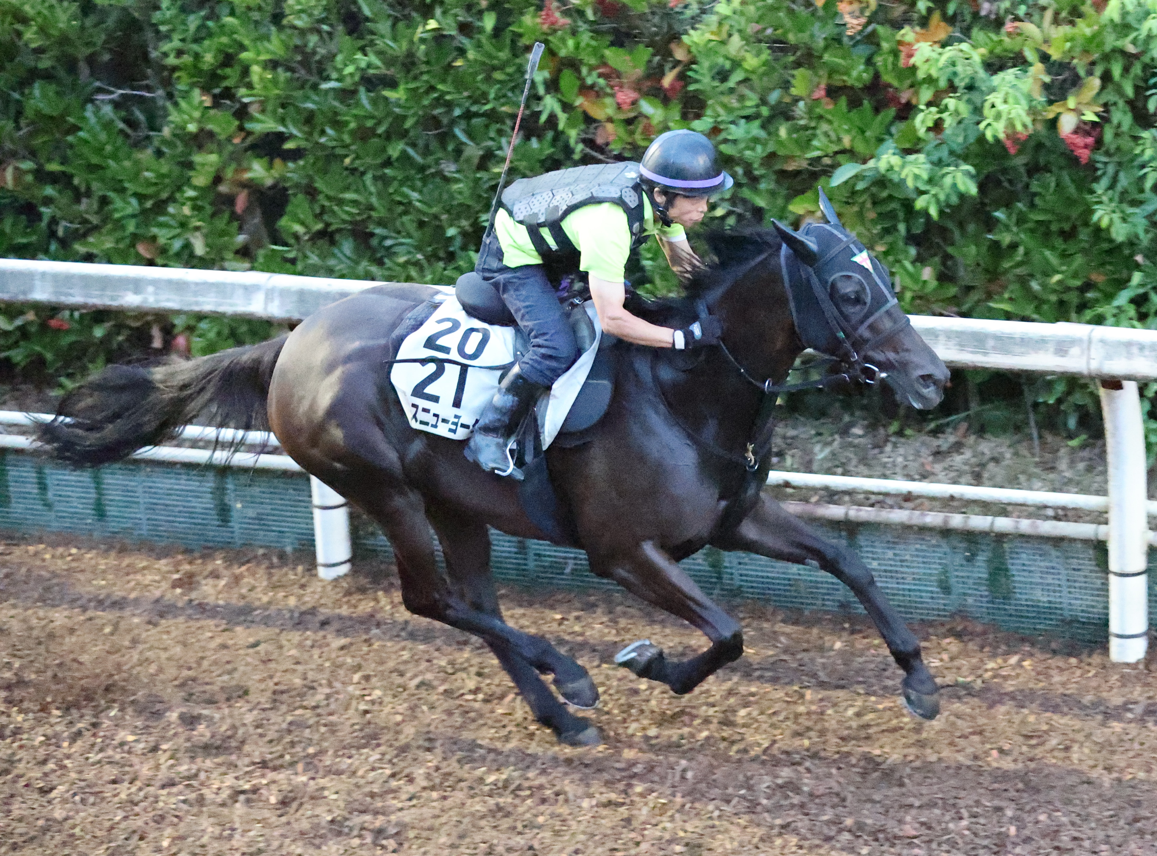 【イノセントＣ】ストリームが栄冠賞から重賞連勝だ