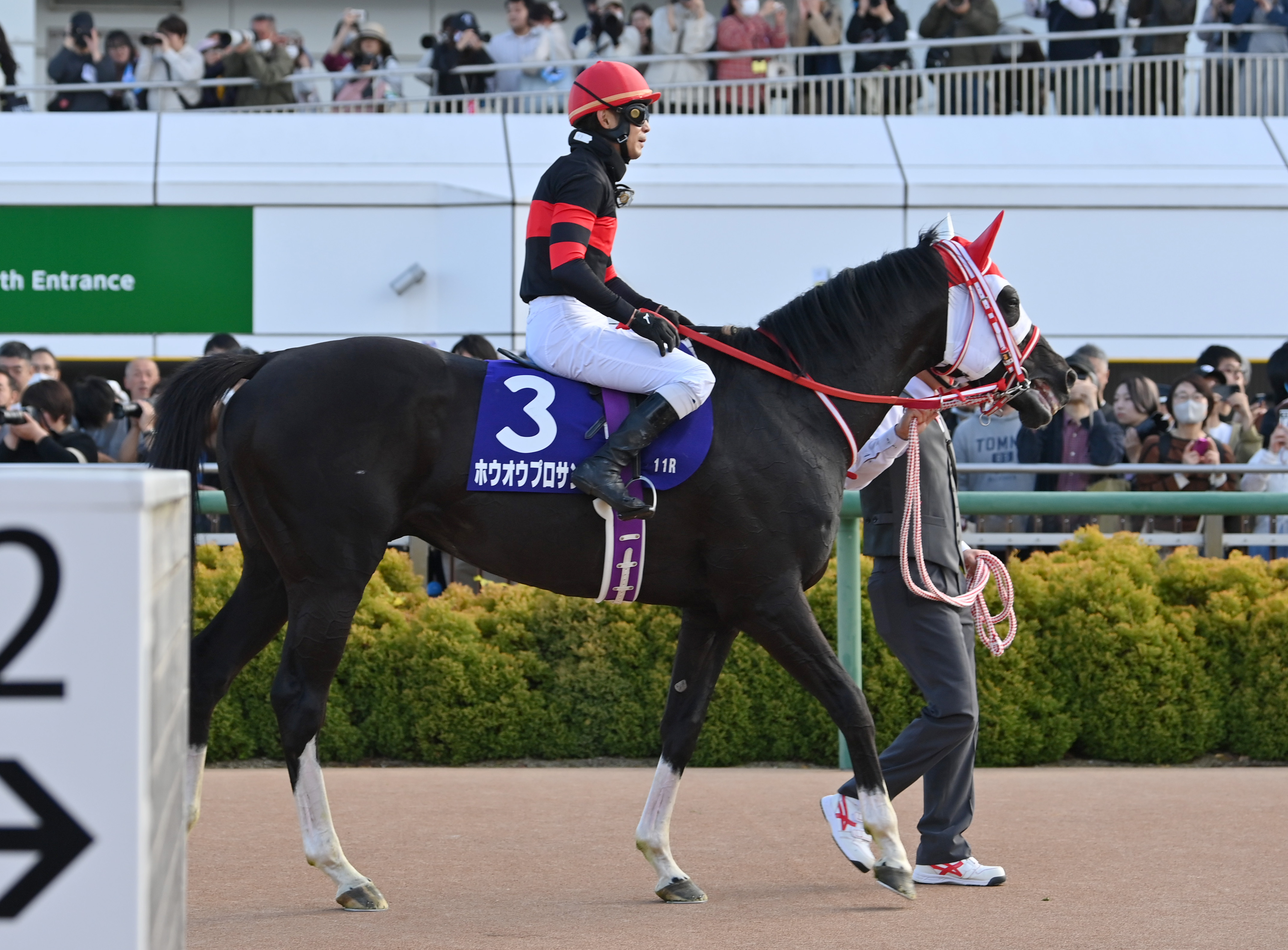 中山グランドJ】レースを終えて…関係者談話 - サンスポZBAT!