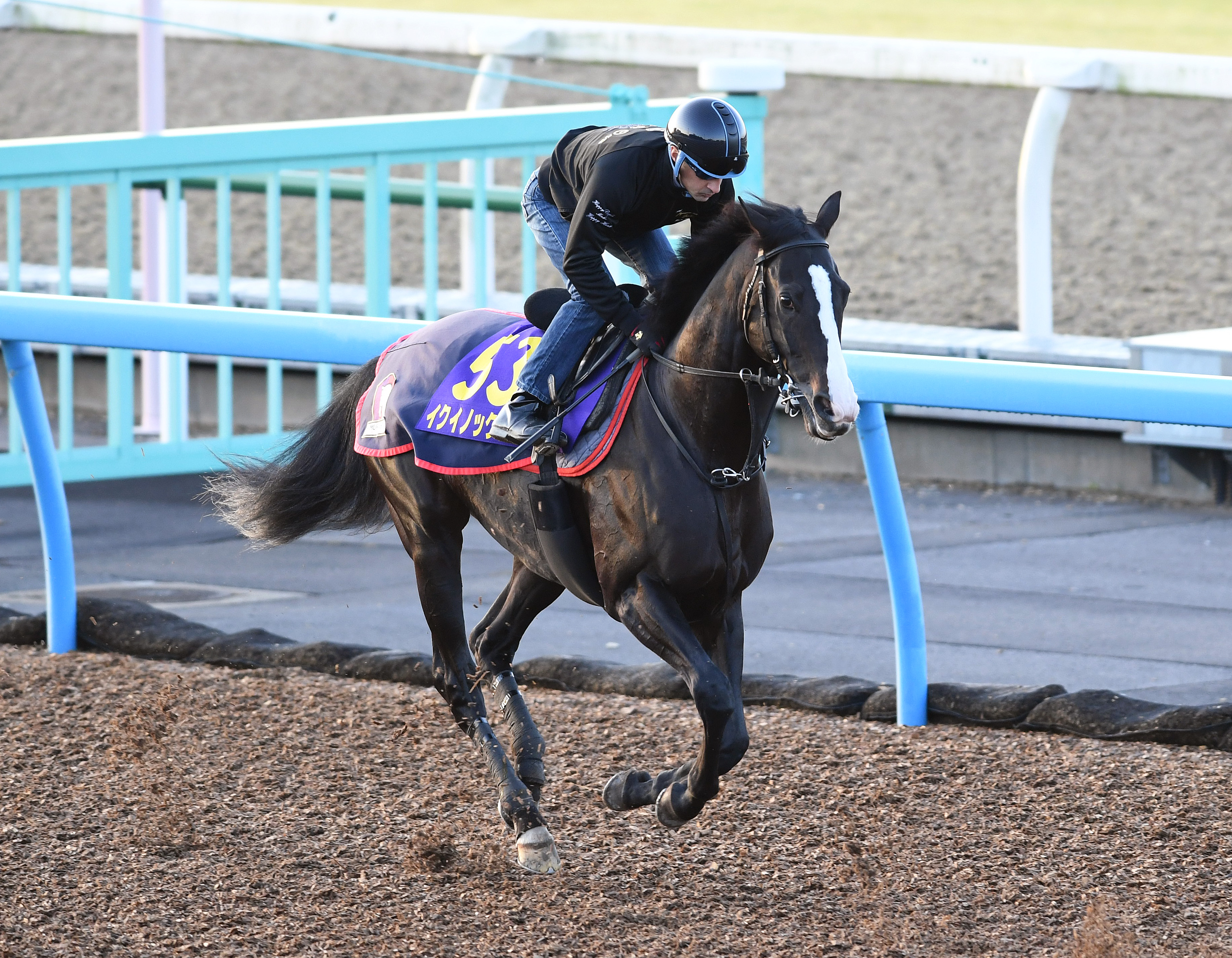 天皇賞・秋】イクイノックス状態は万全！ 連覇へ一切の死角なし