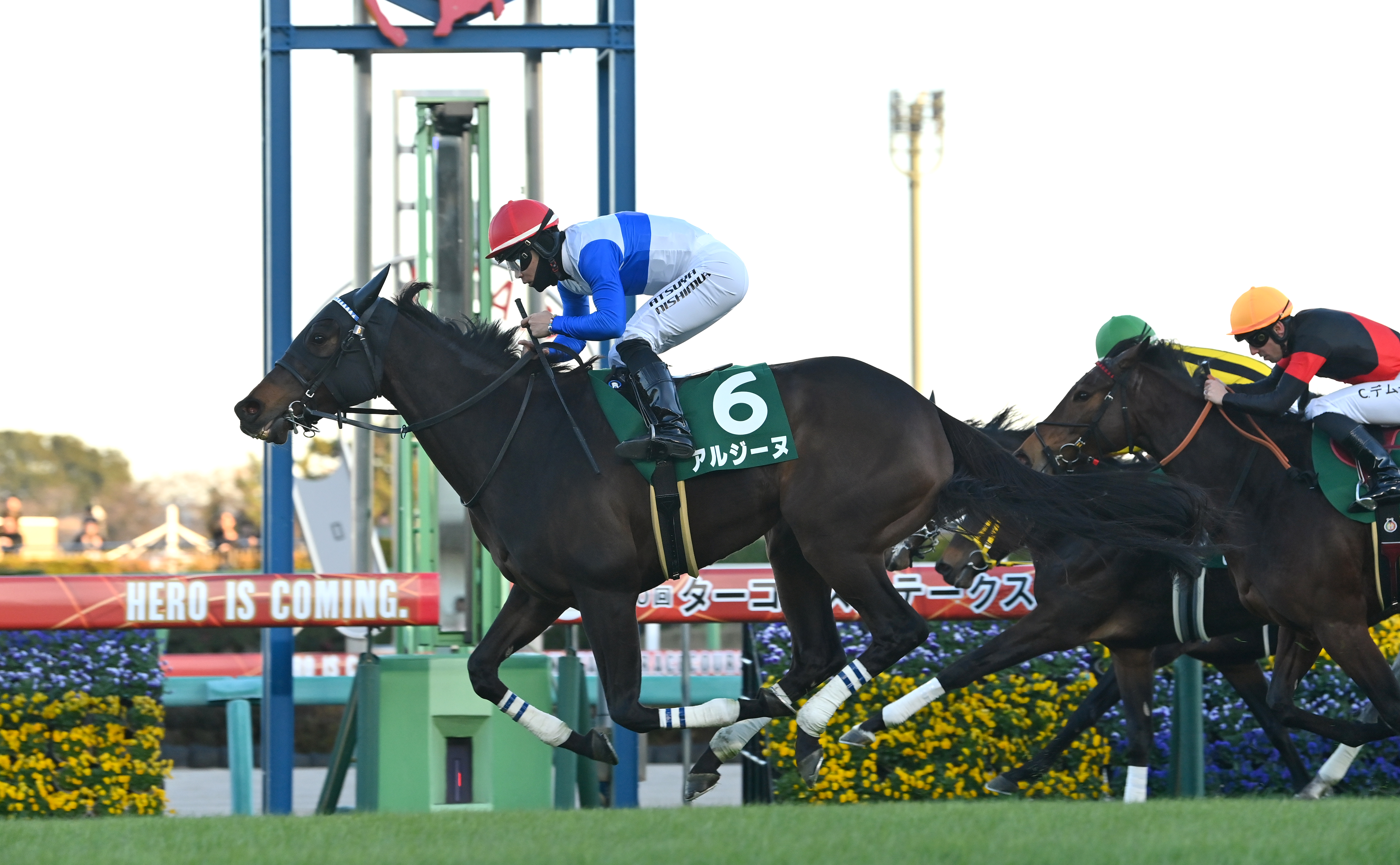 2020年クイーンズビースト白馬 117679