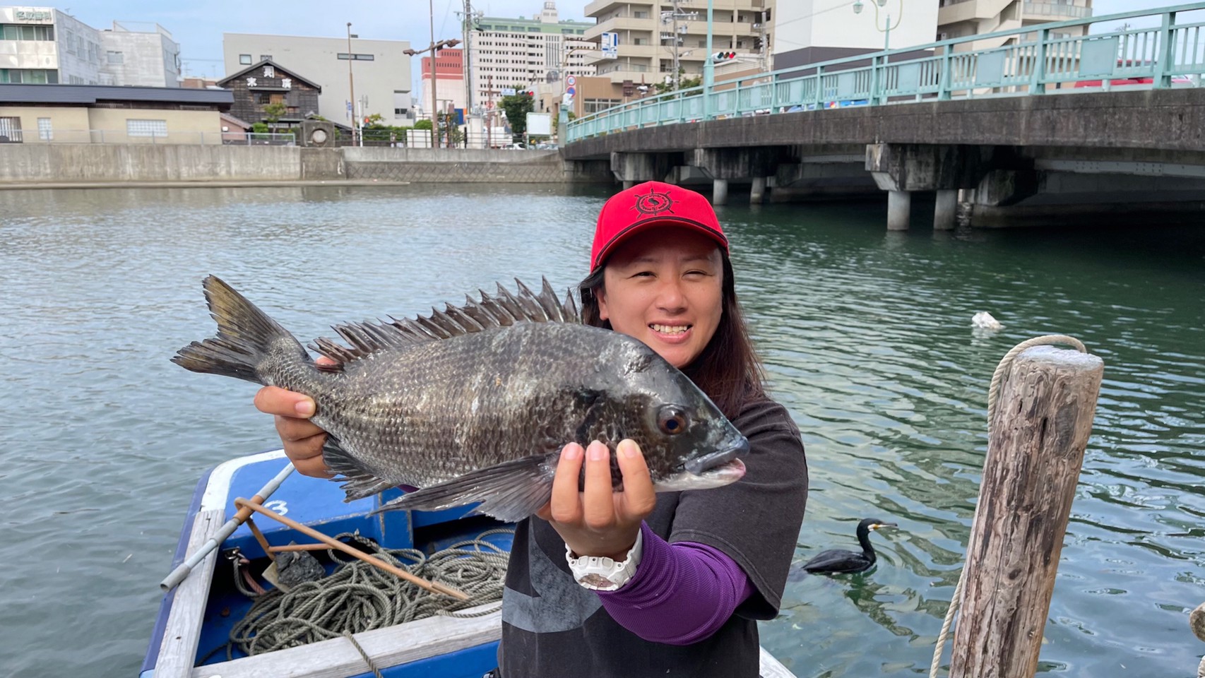 クロダイ８尾ゲット カセに乗って繊細 豪快かかり釣り 静岡市 清水港 サンスポ