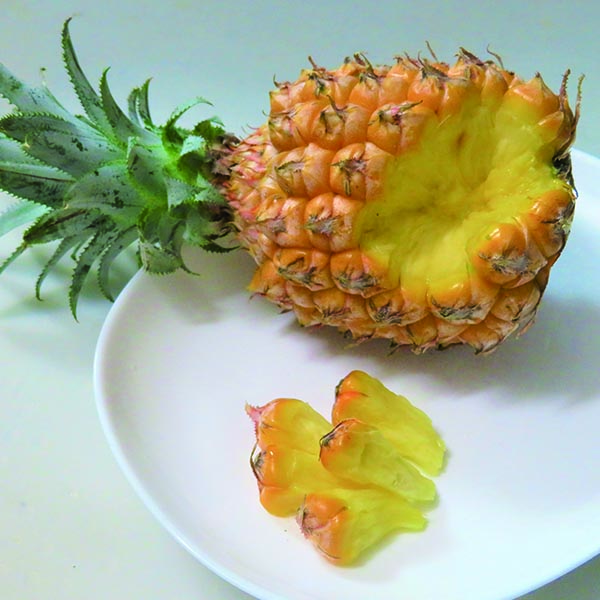 期間限定値下げ！】初夏にぴったりな旬のパイナップル - zakⅡ