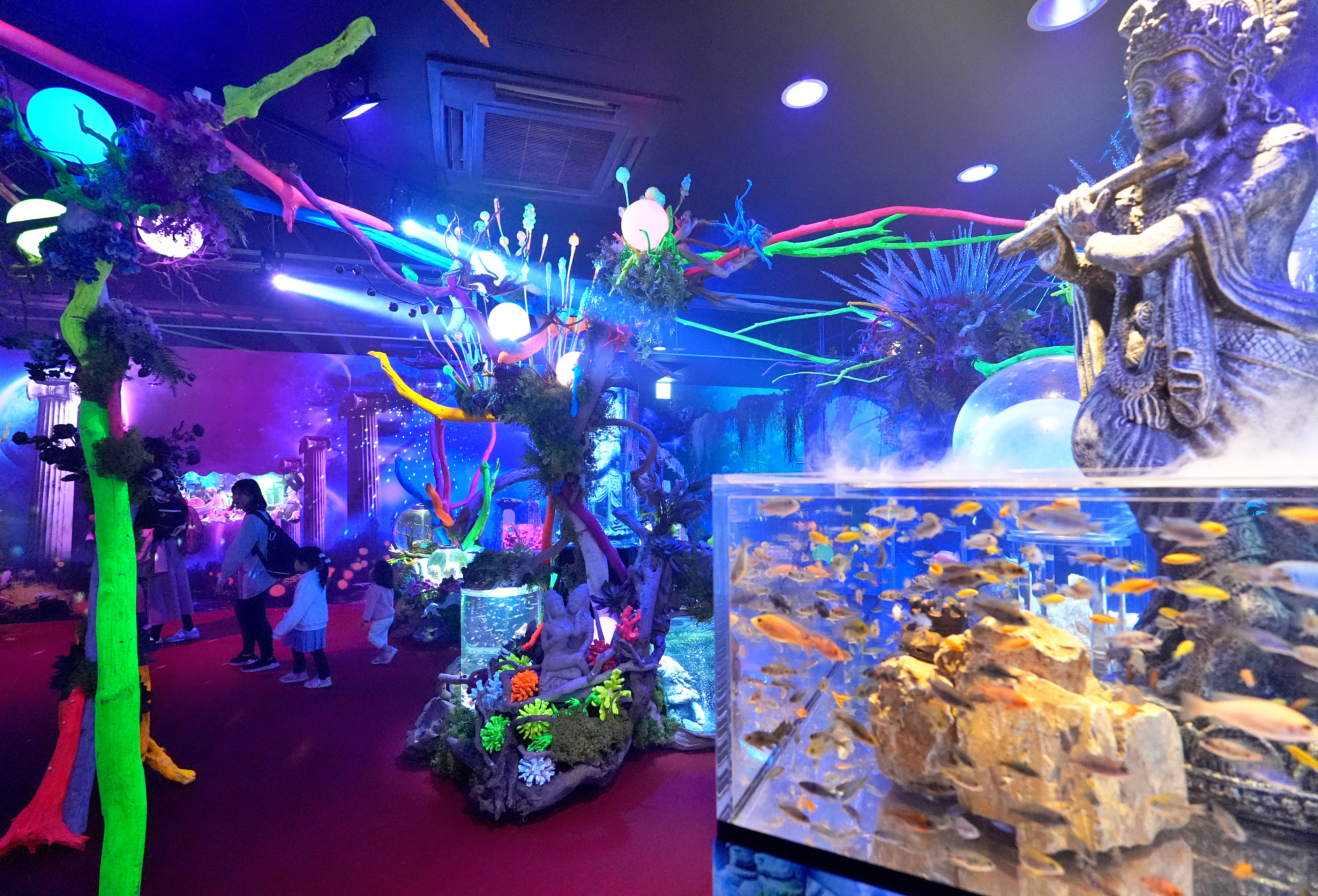 ひらパーで「宇宙の旅」 アクアリウムがオープン、異世界体験で