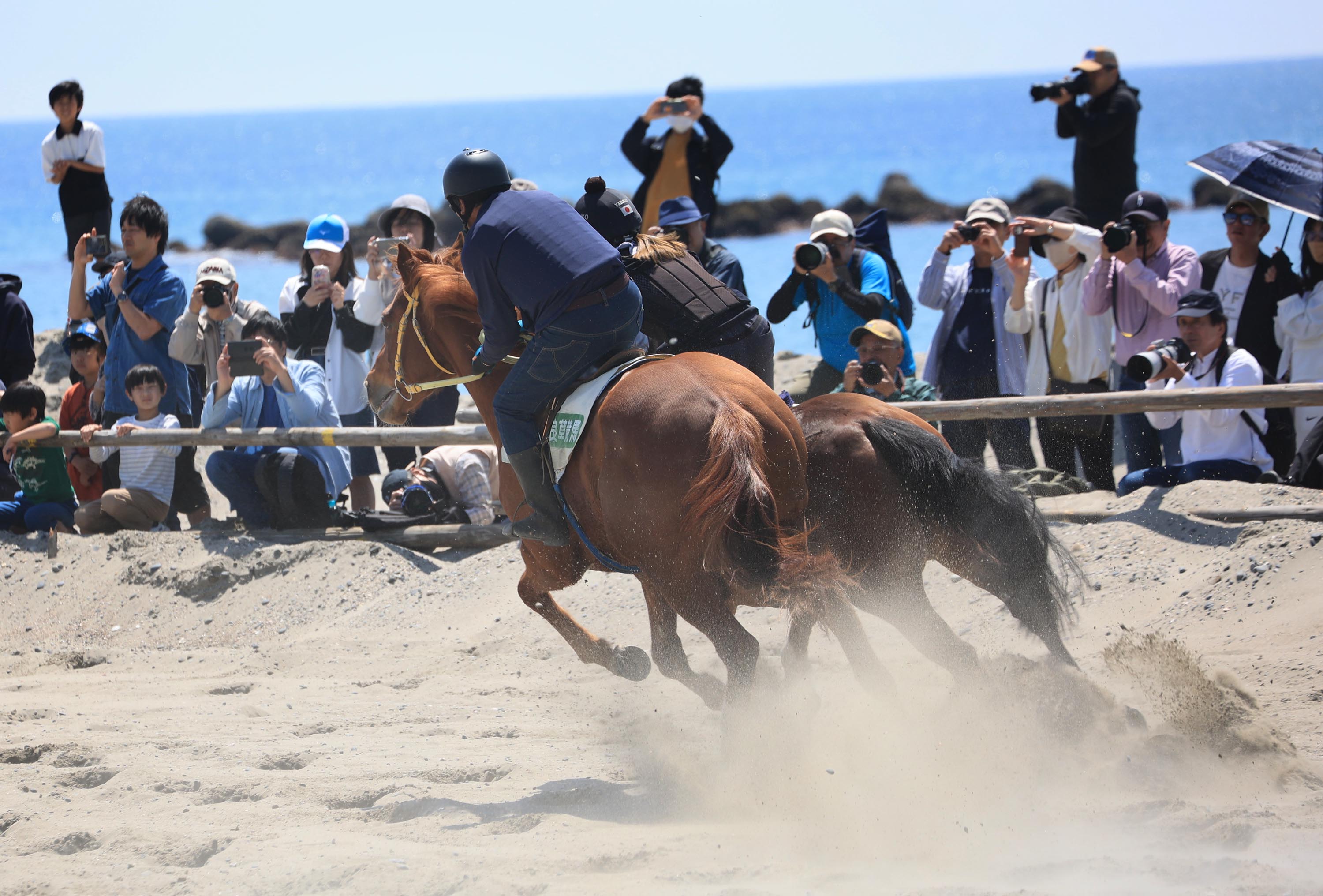 動画】ビーチを馬45頭が疾走 静岡・牧之原「さがら草競馬」、日本唯一