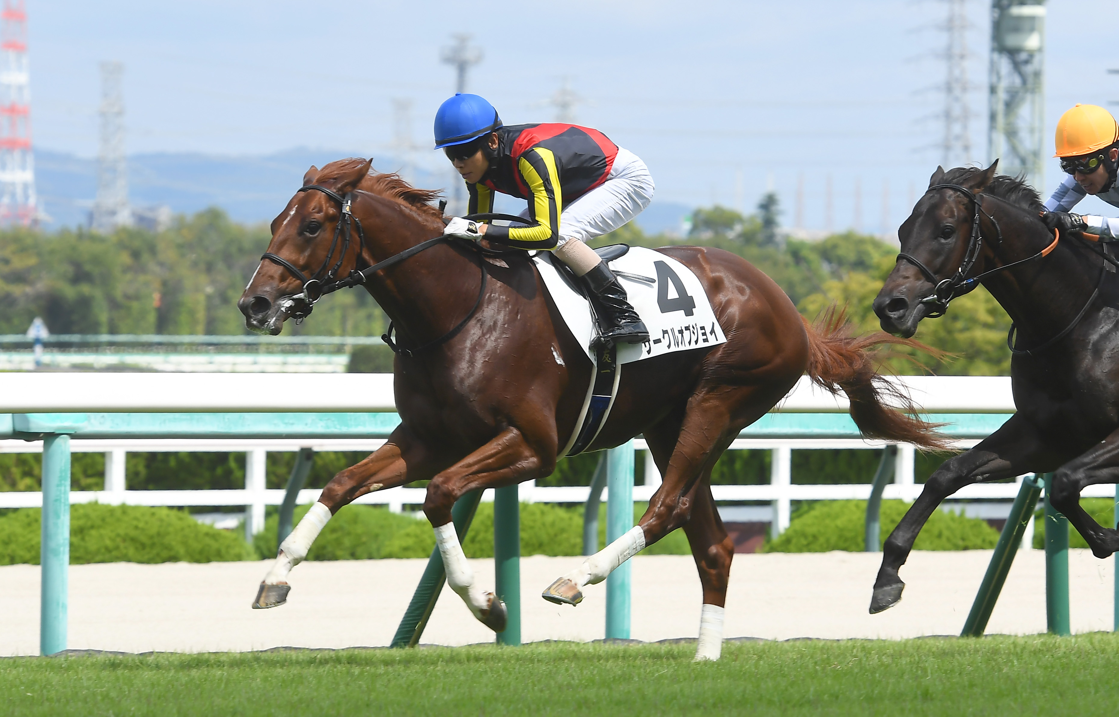 【２歳次走報】サークルオブジョイは東京スポーツ杯２歳Ｓを目指す