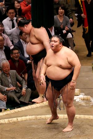 大相撲 ボールペン 御嶽海稀勢の里高安勢照ノ富士宇良白鵬遠藤 - 筆記具