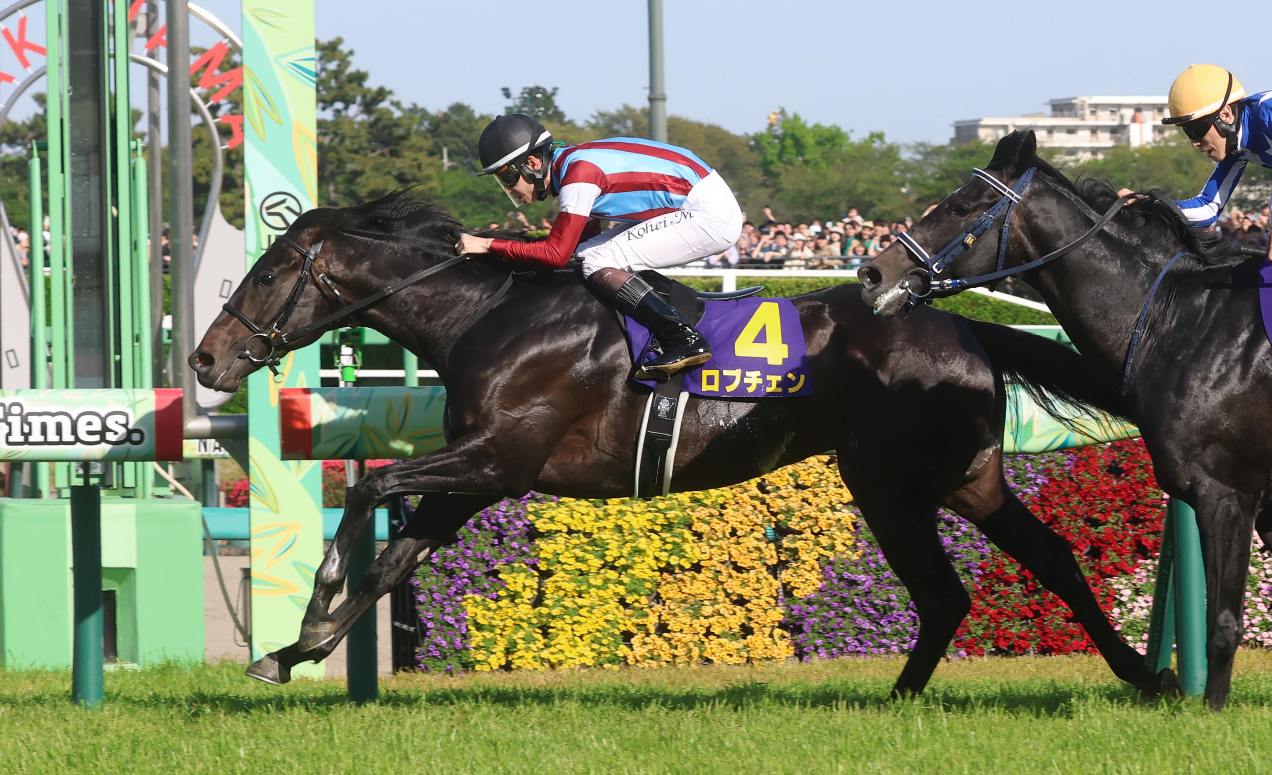 日本ダービー 枠順確定】2冠制覇狙うロブチェンは8枠17番、リアライズ