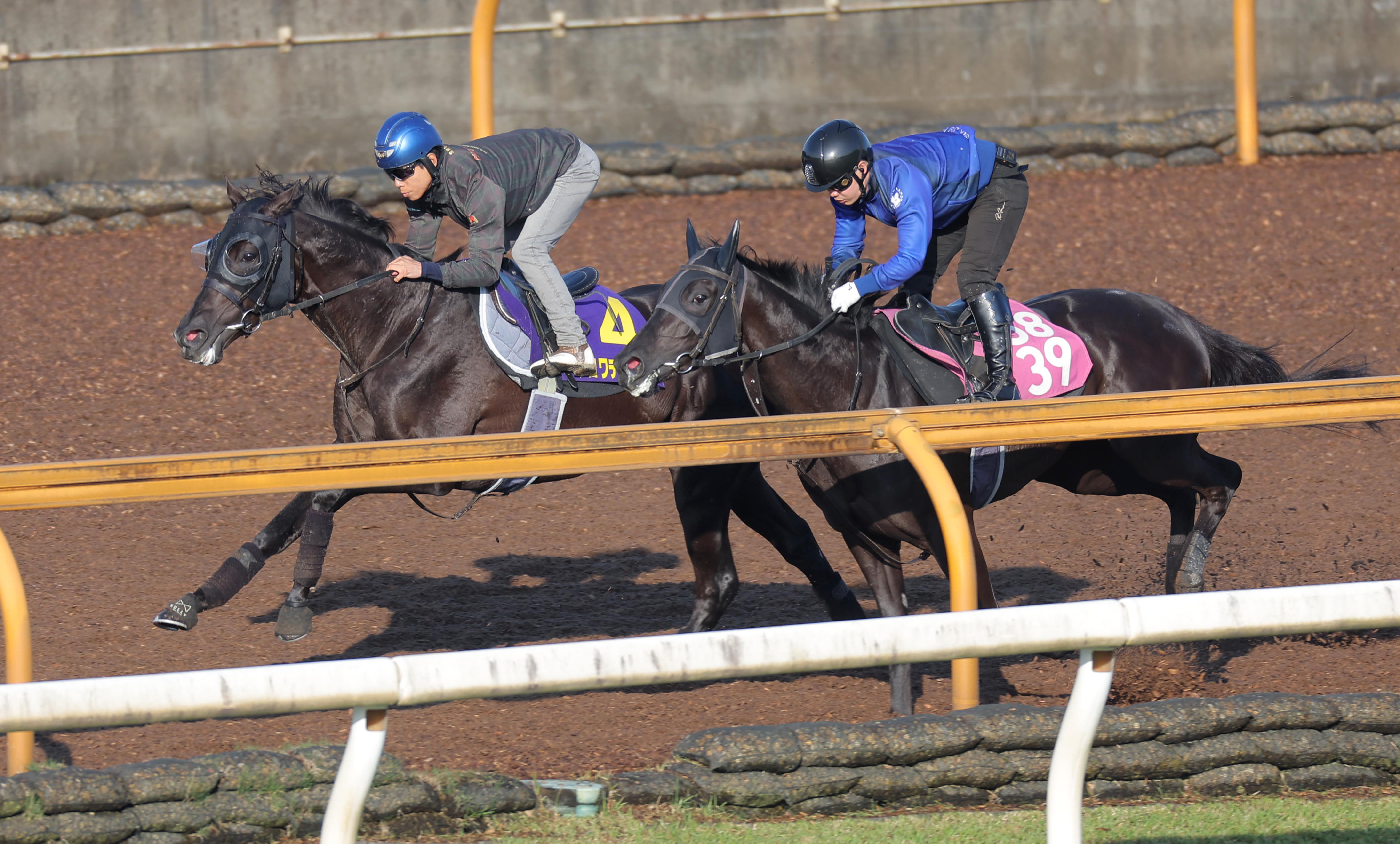 日本ダービー 共同会見】クロワデュノール・北村友一騎手「やるべき
