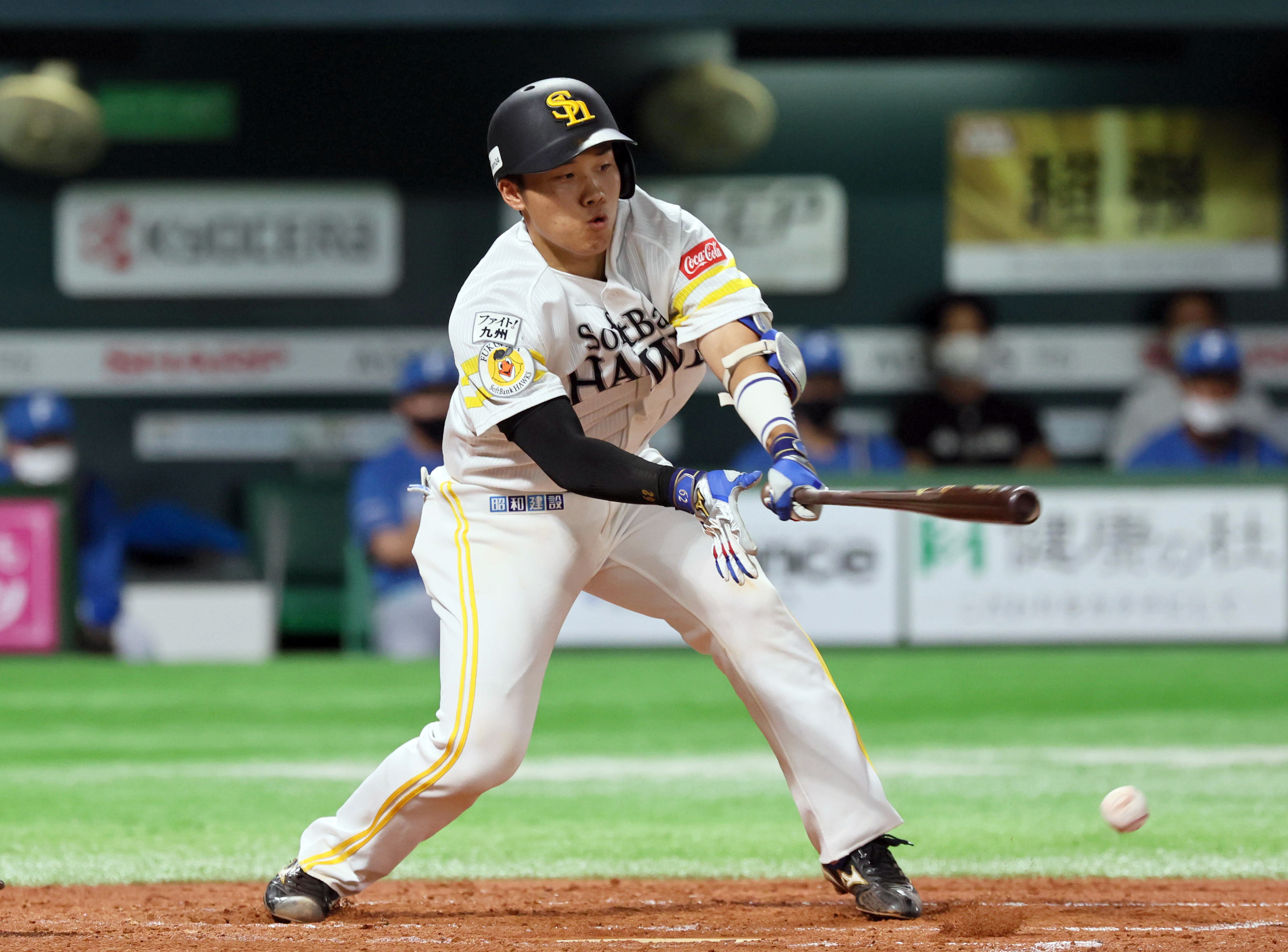 アニメショート プロ 長谷川選手 バットと手袋 NPB - 通販 - www