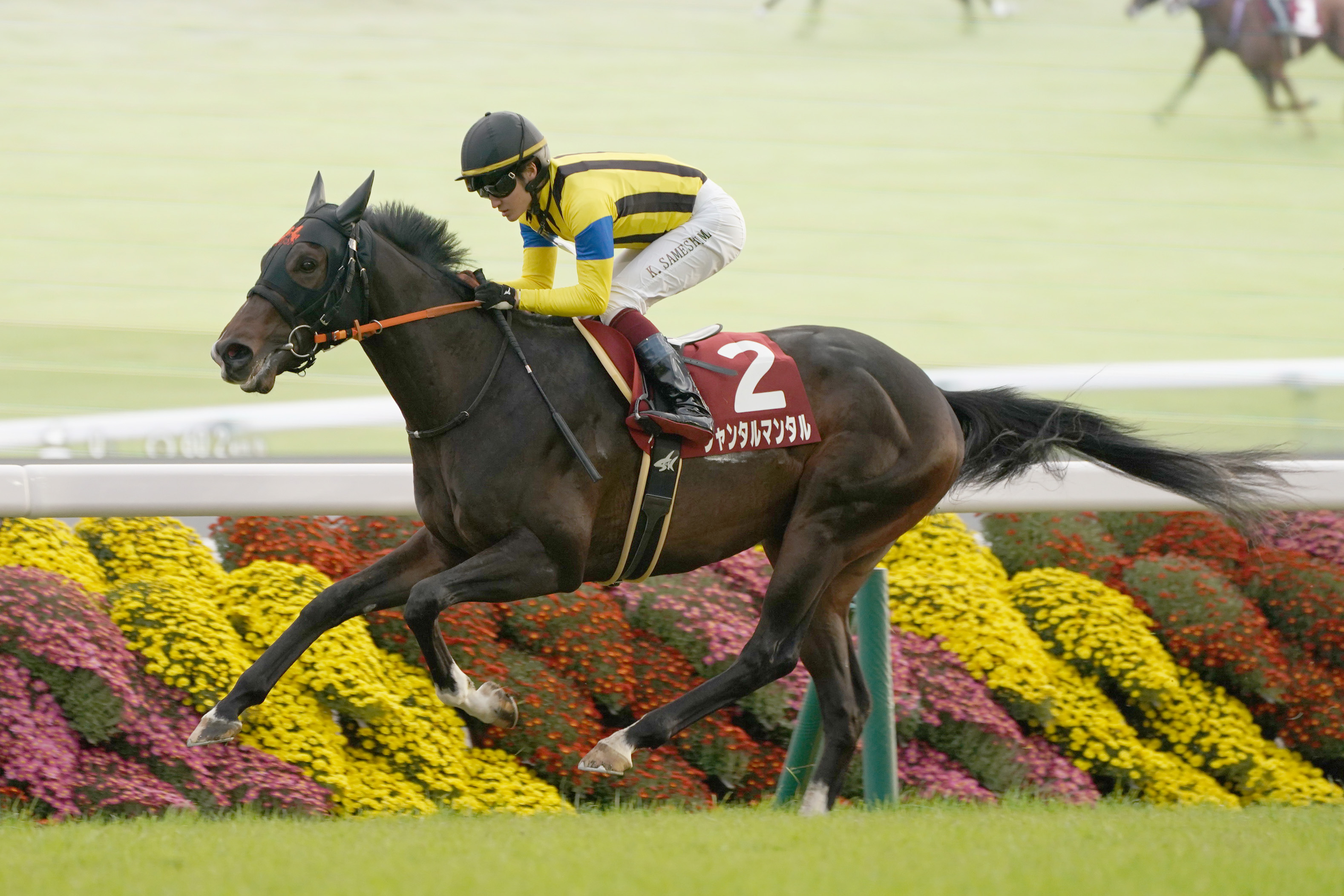 JRAポスター2枚 　ジャンタルマンタル JRAポスター2枚 ジャンタルマンタル JRAポスター2枚 ジャンタル