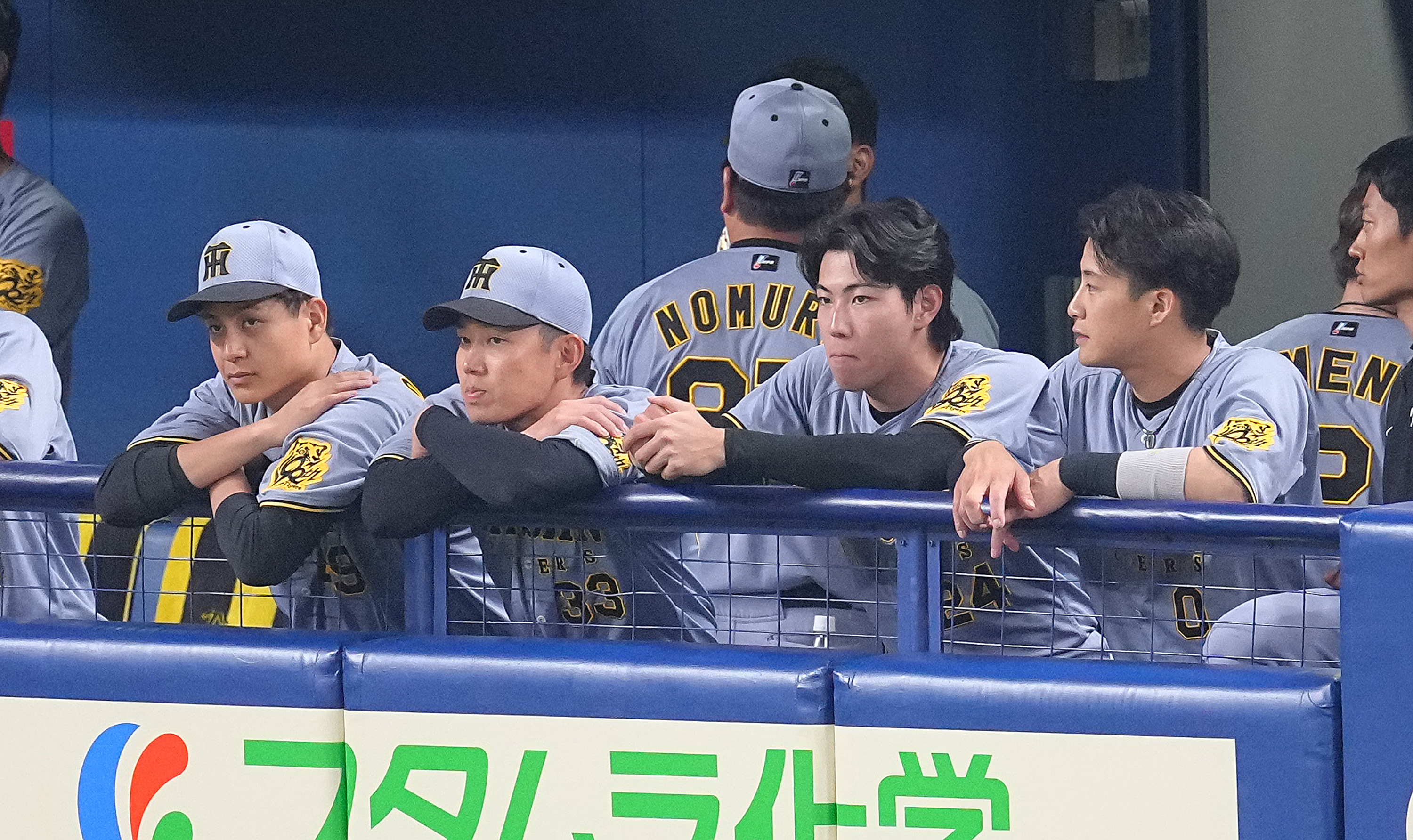 明大OBルート入手 阪神タイガース 2003年星野監督時代 金属ボタン12個