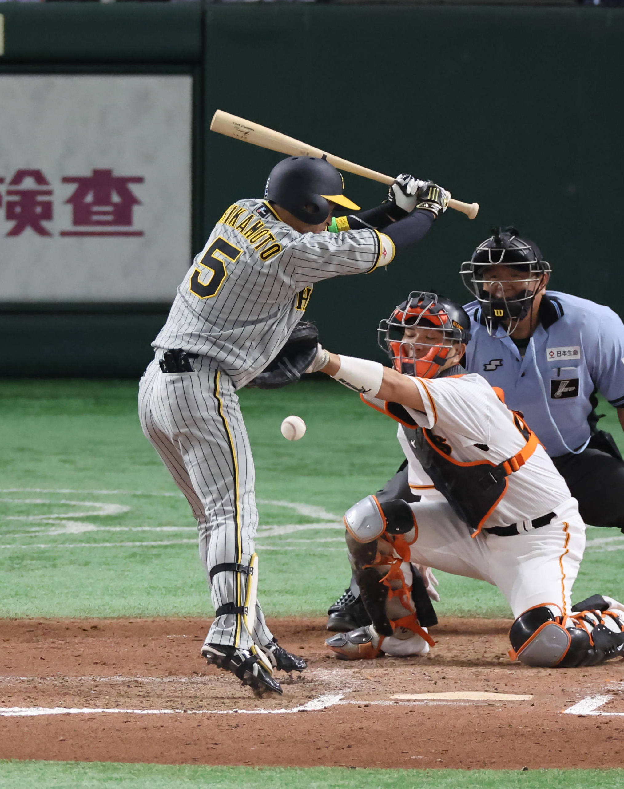 【最終値下】甲子園100周年記念ボール　近本光司選手 記事全文】阪神・近本 世紀のキャッチ＆V撃で100周年甲子園初陣