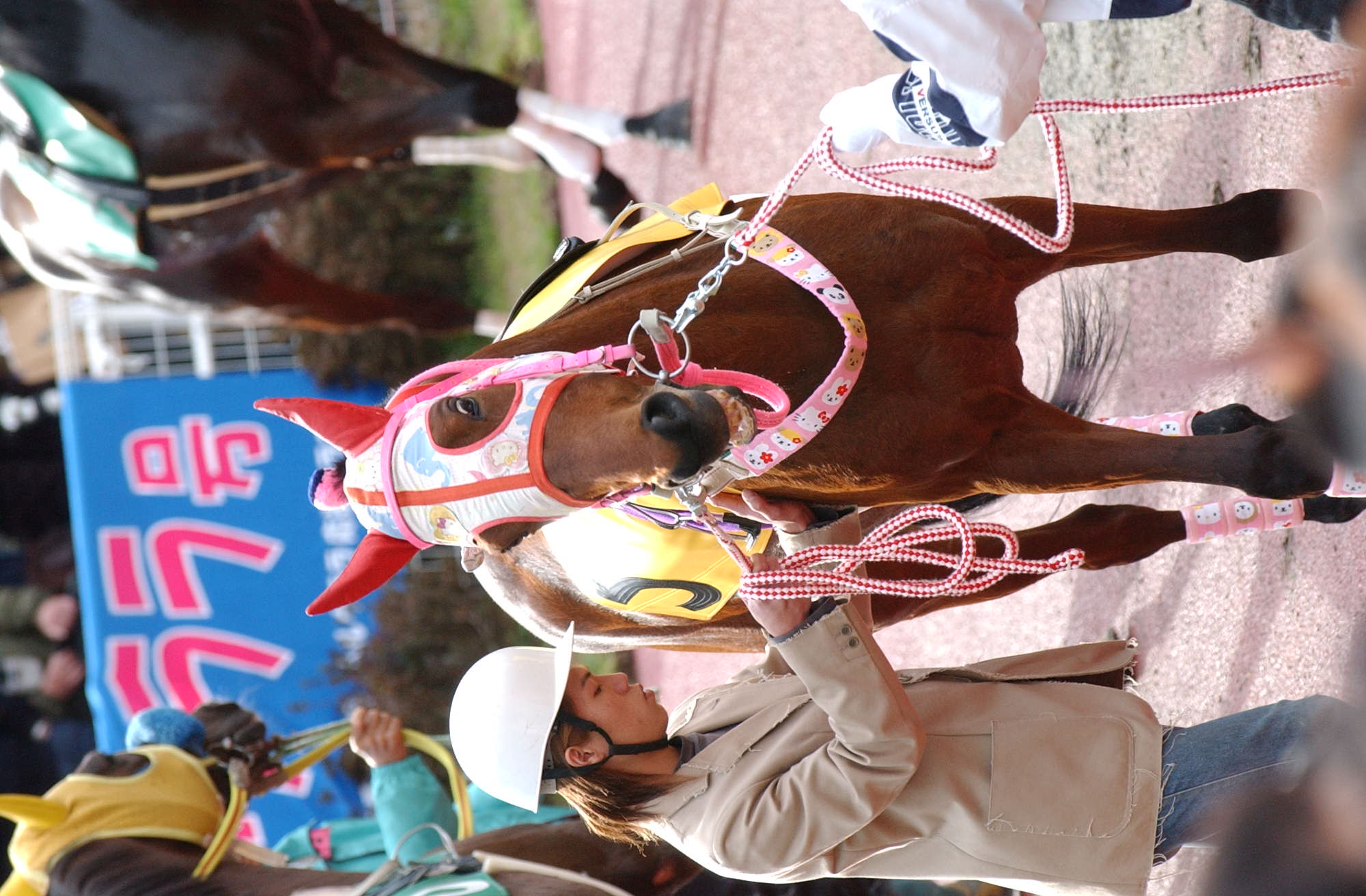 ハルウララ★馬券★ハルウララウマ娘★ハルウララYSダービーJ特別武豊騎乗 ハルウララ☆馬券☆ハルウララウマ娘☆ハルウララYSダービーJ